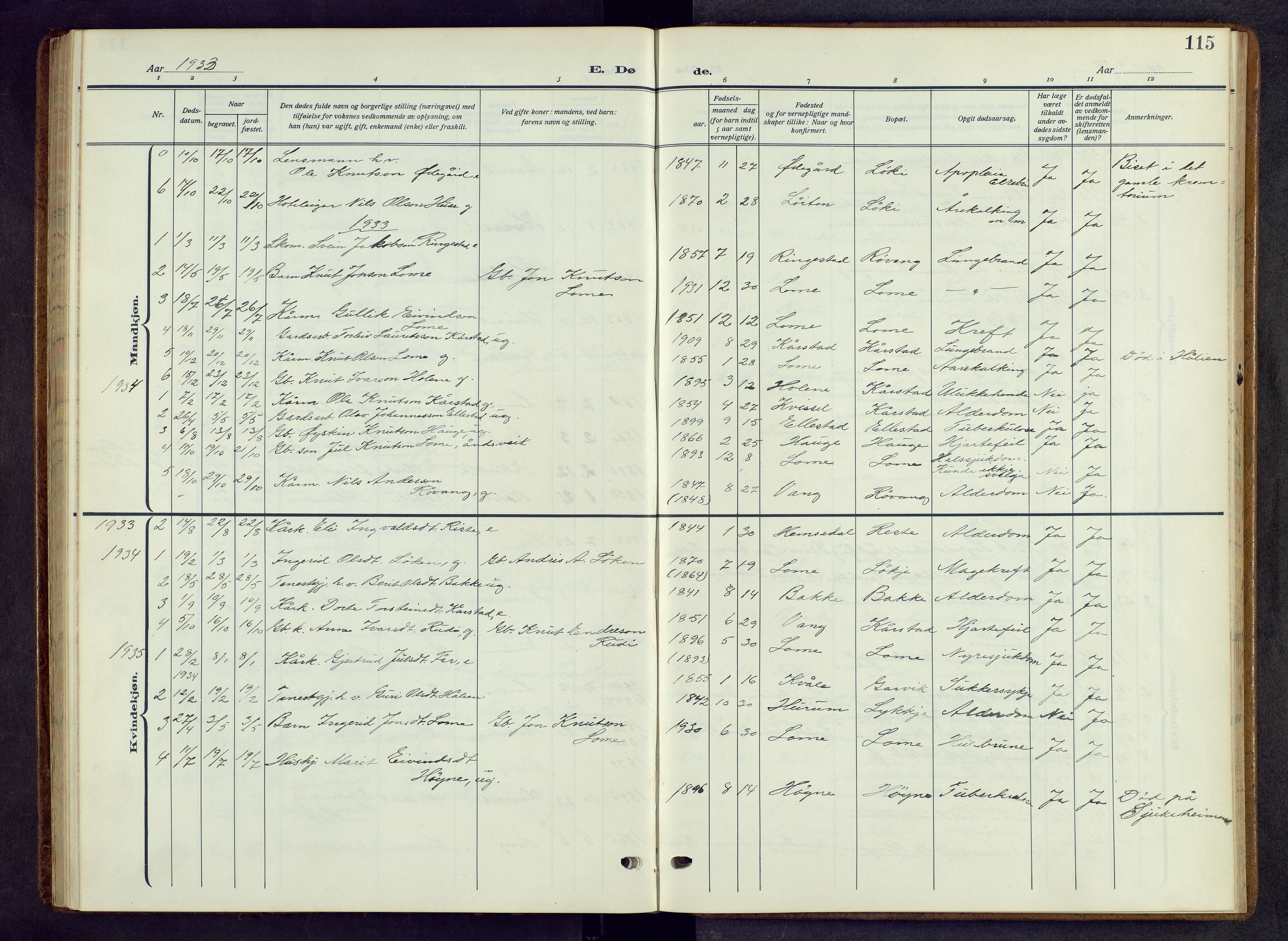 Vestre Slidre prestekontor, AV/SAH-PREST-136/H/Ha/Hab/L0009: Parish register (copy) no. 9, 1914-1970, p. 115