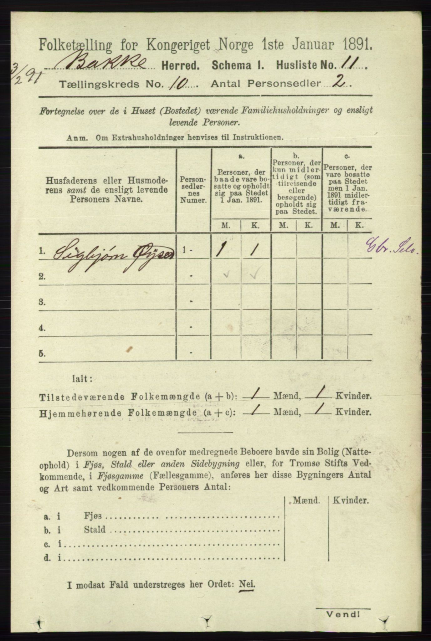 RA, 1891 census for 1045 Bakke, 1891, p. 1975