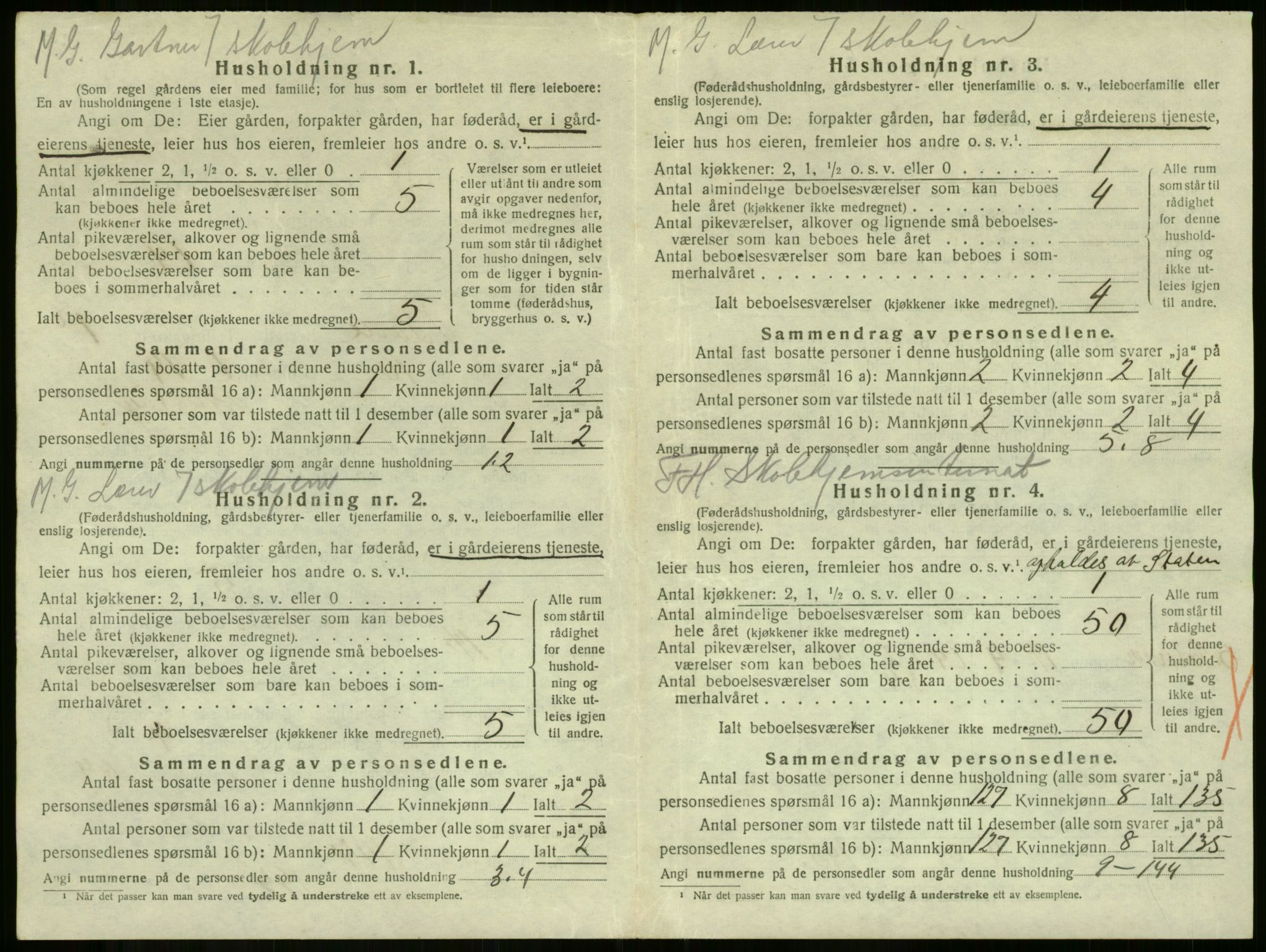 SAKO, 1920 census for Borre, 1920, p. 159