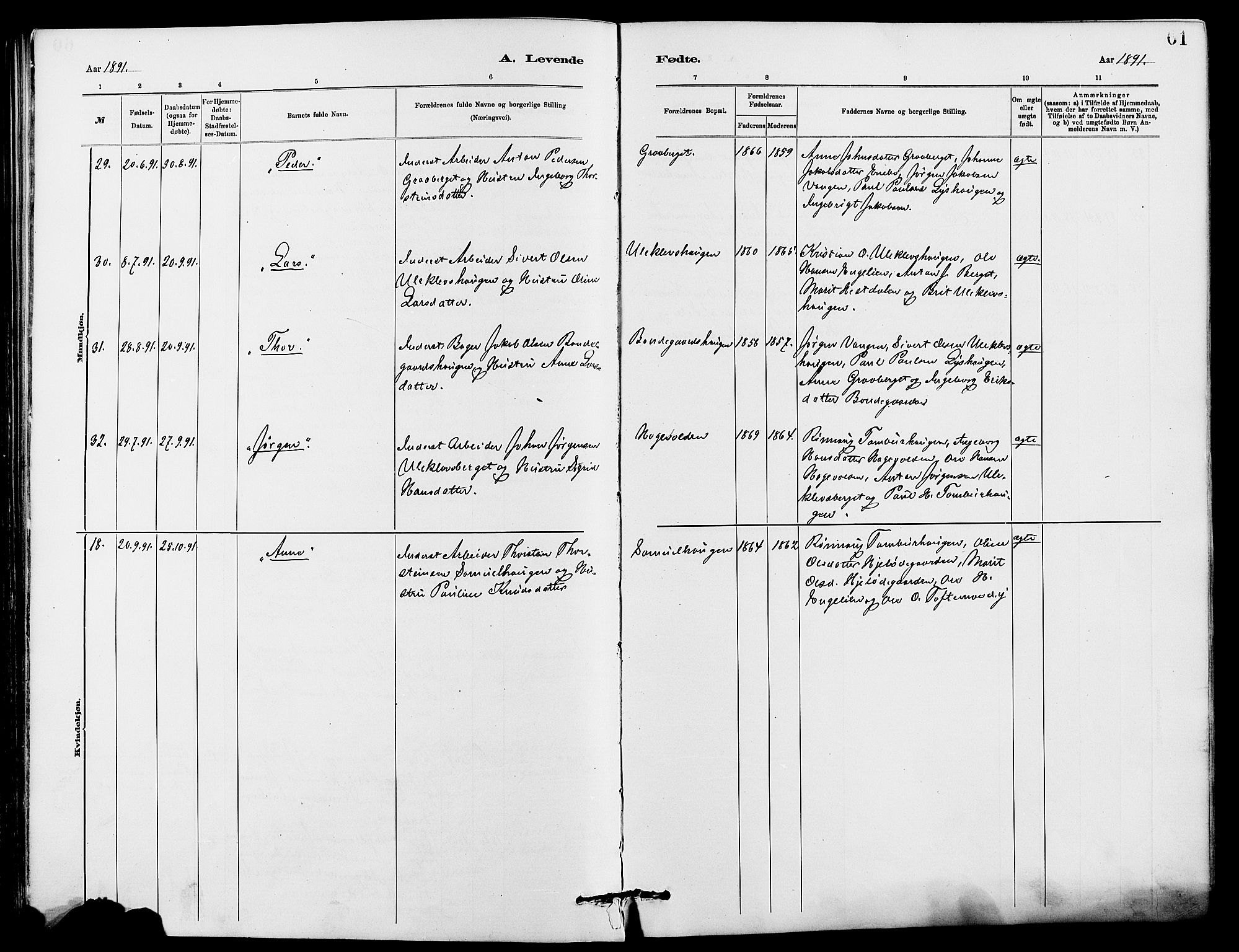 Dovre prestekontor, AV/SAH-PREST-066/H/Ha/Hab/L0002: Parish register (copy) no. 2, 1881-1907, p. 61