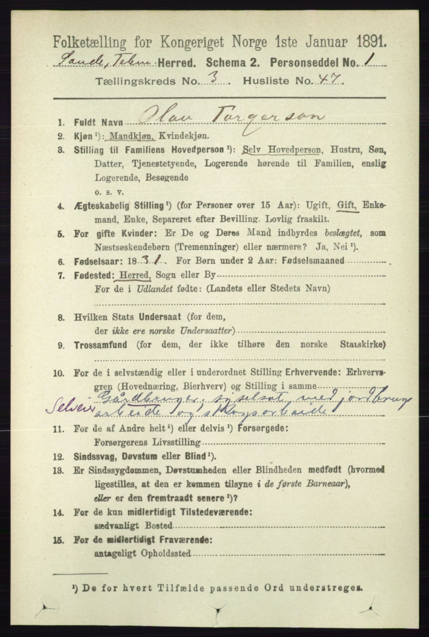 RA, 1891 census for 0822 Sauherad, 1891, p. 964