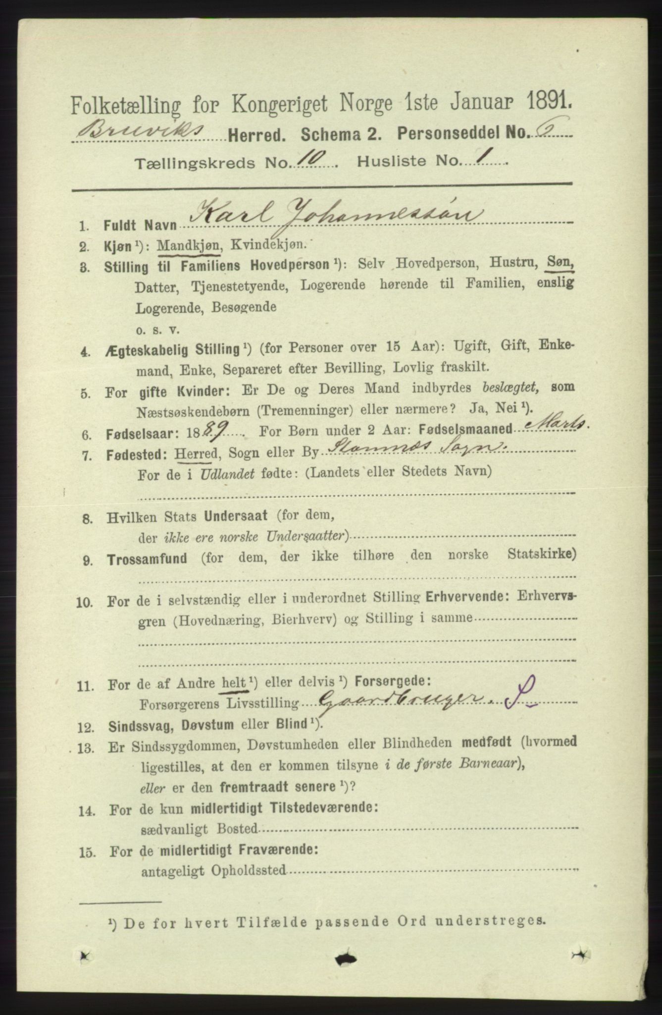 RA, 1891 census for 1251 Bruvik, 1891, p. 3659