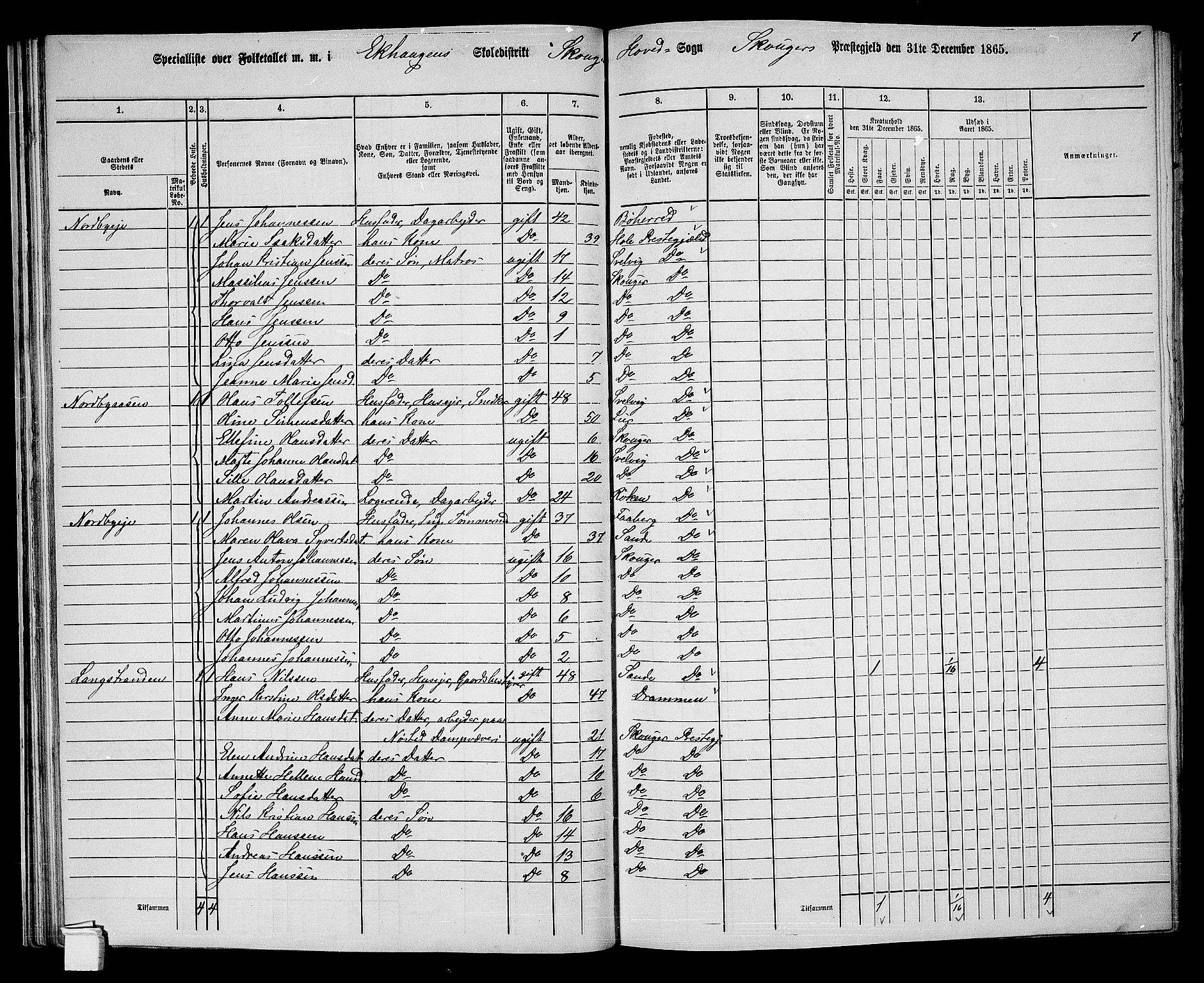 RA, 1865 census for Skoger, 1865, p. 45