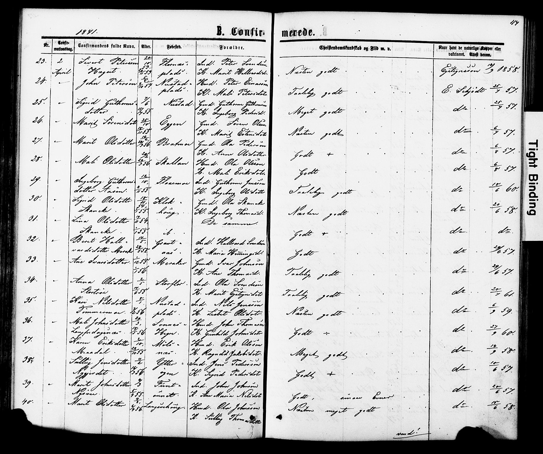 Ministerialprotokoller, klokkerbøker og fødselsregistre - Nord-Trøndelag, SAT/A-1458/706/L0049: Parish register (copy) no. 706C01, 1864-1895, p. 114