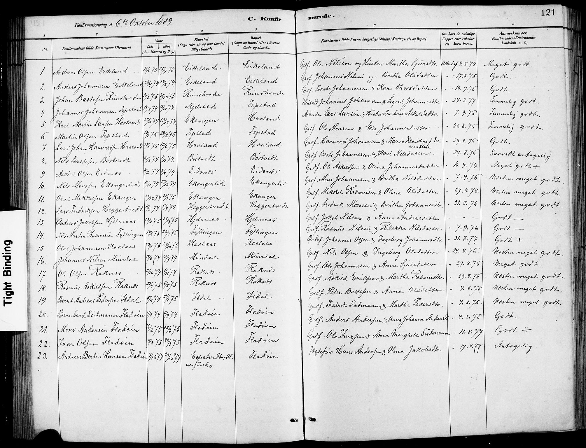 Hamre sokneprestembete, SAB/A-75501/H/Ha/Hab: Parish register (copy) no. B 3, 1881-1898, p. 121