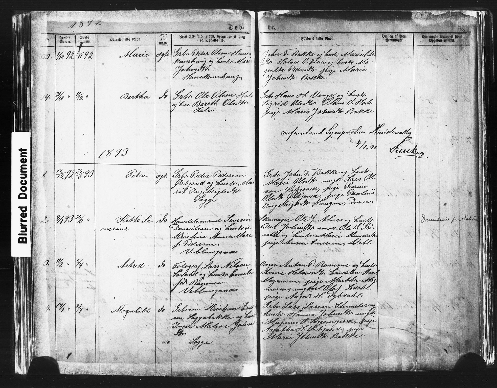 Ministerialprotokoller, klokkerbøker og fødselsregistre - Møre og Romsdal, SAT/A-1454/544/L0580: Parish register (copy) no. 544C02, 1867-1909, p. 95