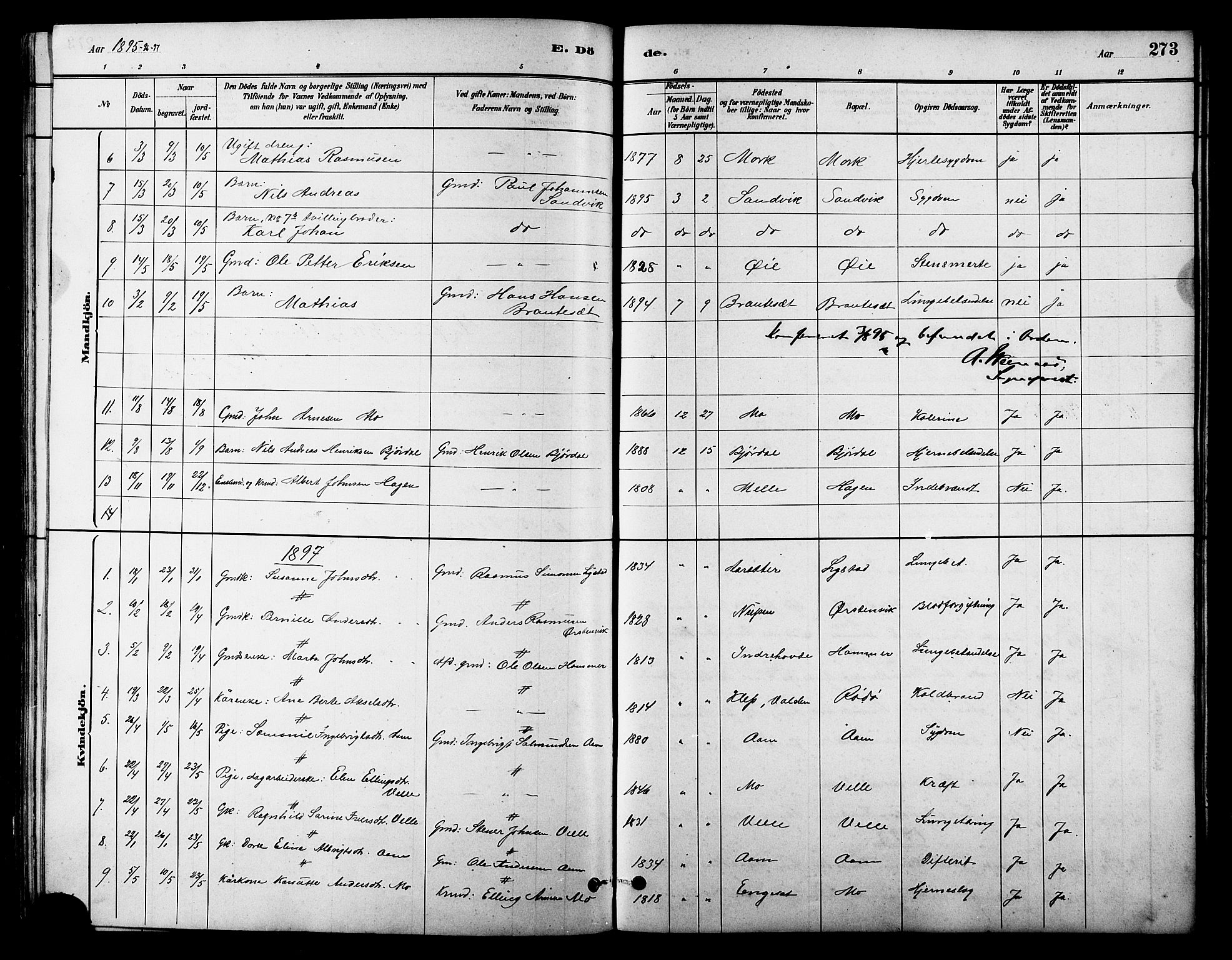 Ministerialprotokoller, klokkerbøker og fødselsregistre - Møre og Romsdal, AV/SAT-A-1454/513/L0189: Parish register (copy) no. 513C03, 1883-1904, p. 273