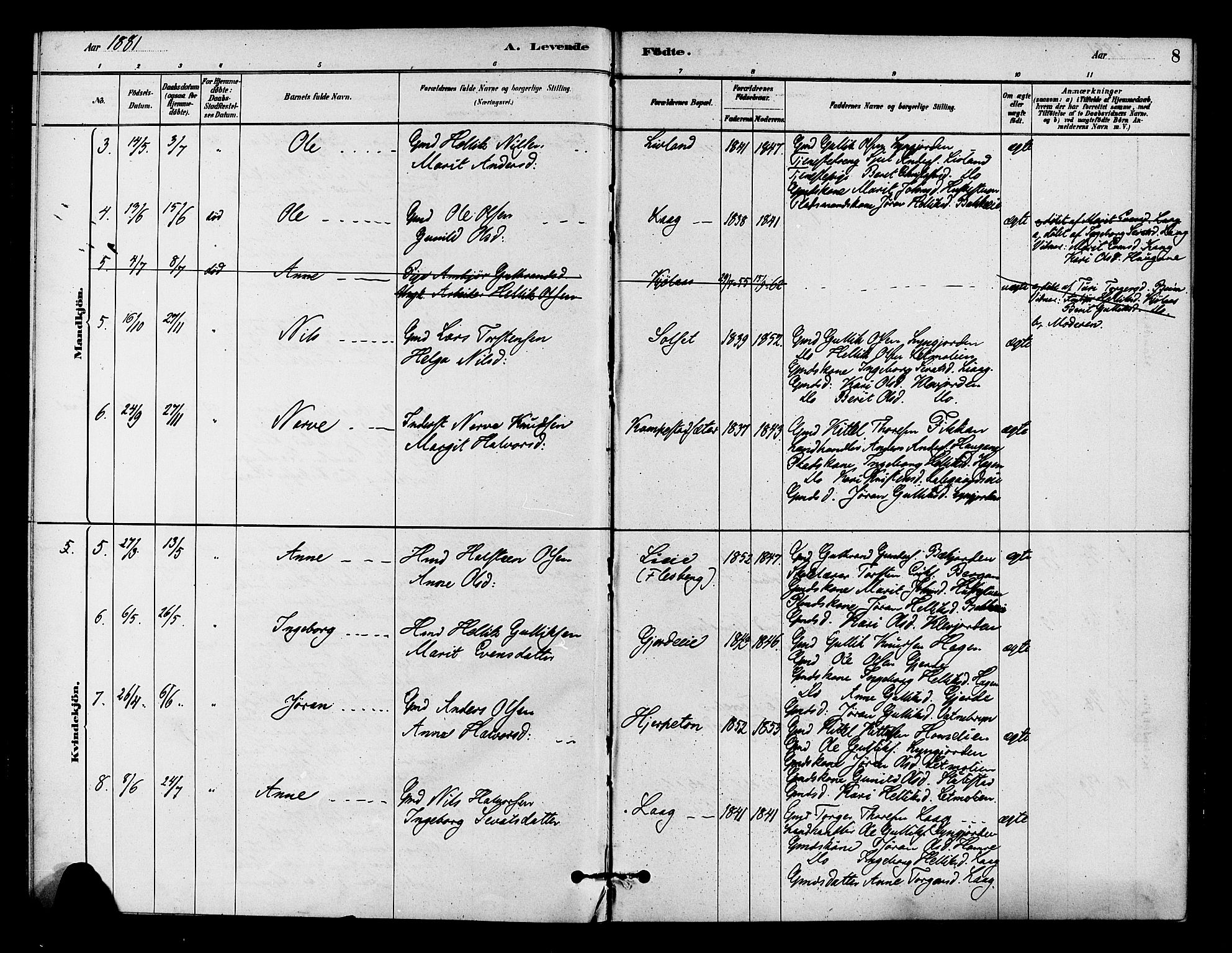 Flesberg kirkebøker, AV/SAKO-A-18/F/Fc/L0001: Parish register (official) no. III 1, 1879-1905, p. 8