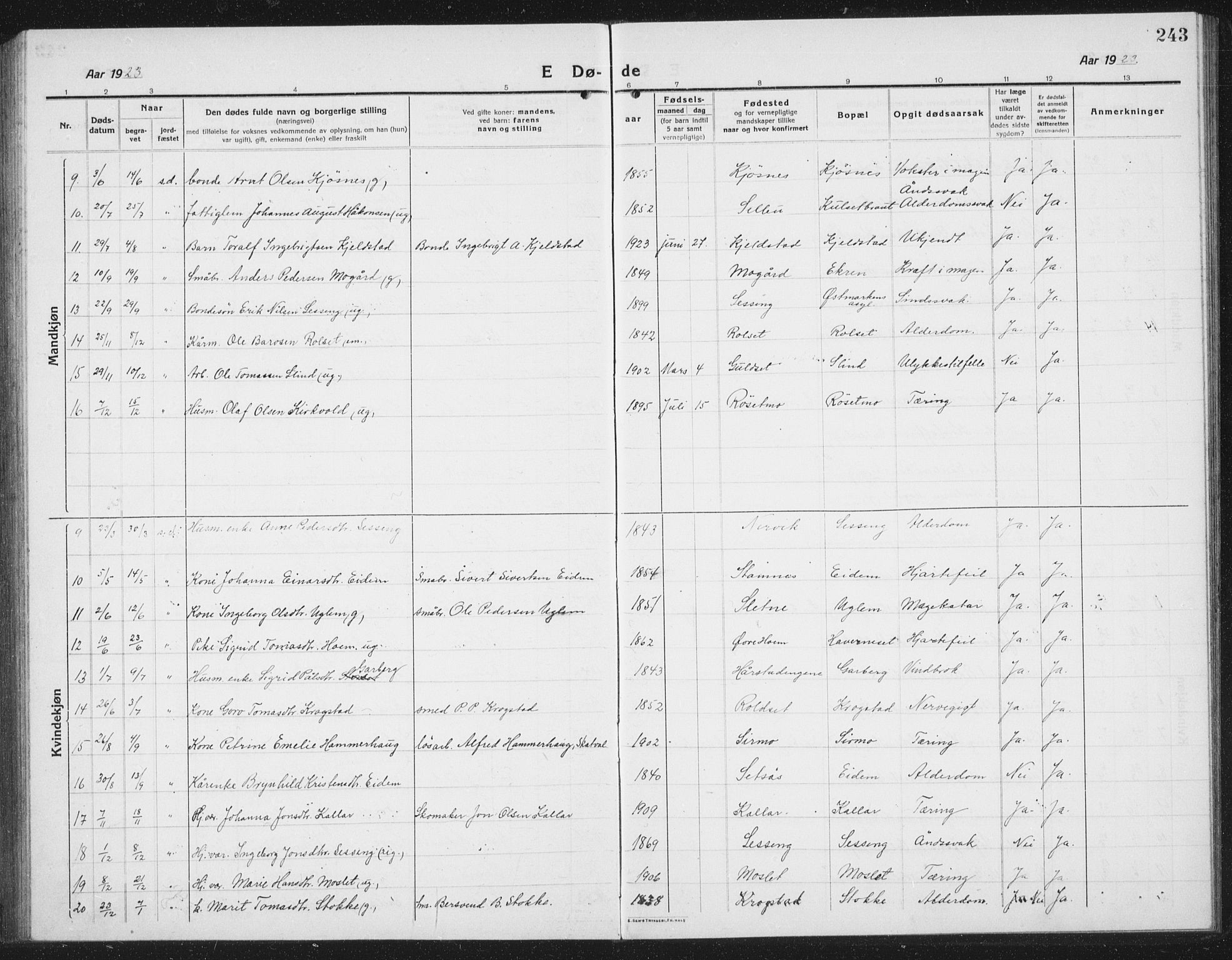 Ministerialprotokoller, klokkerbøker og fødselsregistre - Sør-Trøndelag, SAT/A-1456/695/L1158: Parish register (copy) no. 695C09, 1913-1940, p. 243