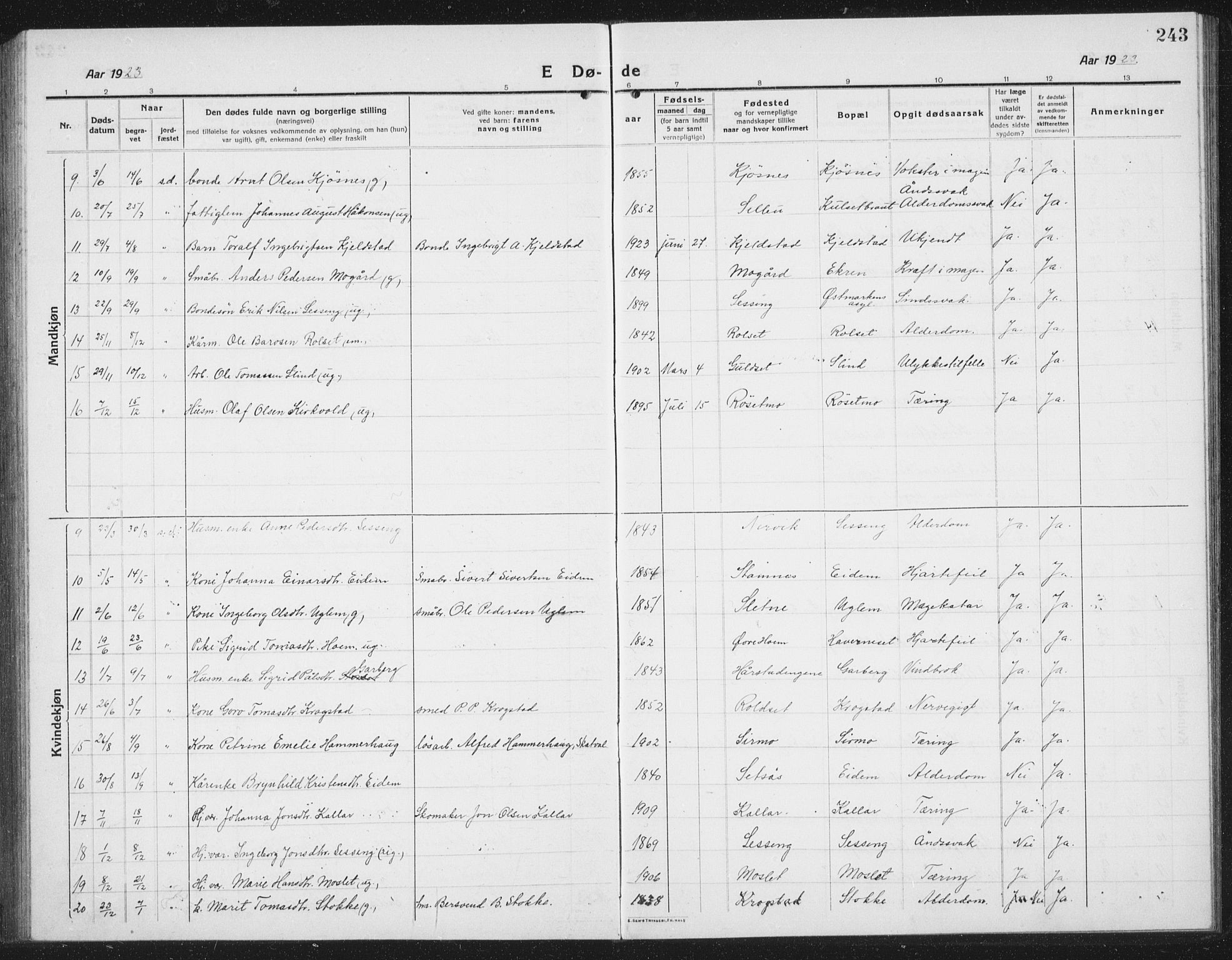 Ministerialprotokoller, klokkerbøker og fødselsregistre - Sør-Trøndelag, AV/SAT-A-1456/695/L1158: Parish register (copy) no. 695C09, 1913-1940, p. 243