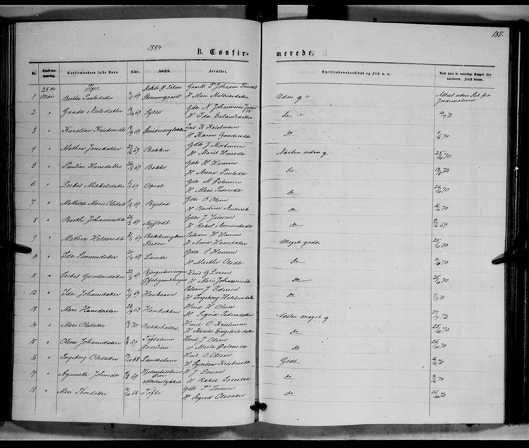 Ringebu prestekontor, AV/SAH-PREST-082/H/Ha/Hab/L0006: Parish register (copy) no. 6, 1880-1898, p. 185