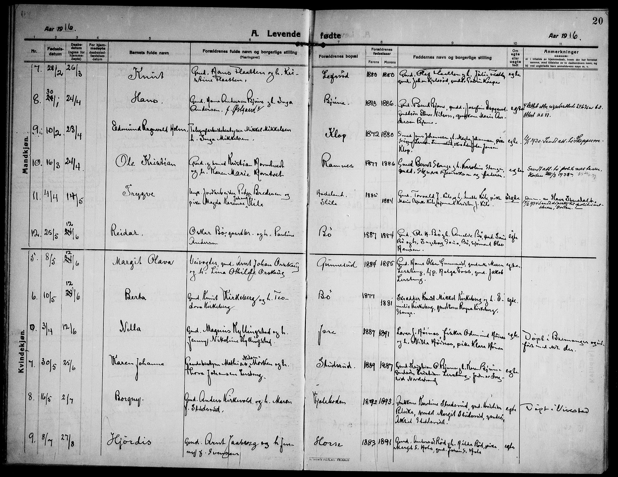 Ramnes kirkebøker, SAKO/A-314/F/Fa/L0009: Parish register (official) no. I 9, 1912-1929, p. 20