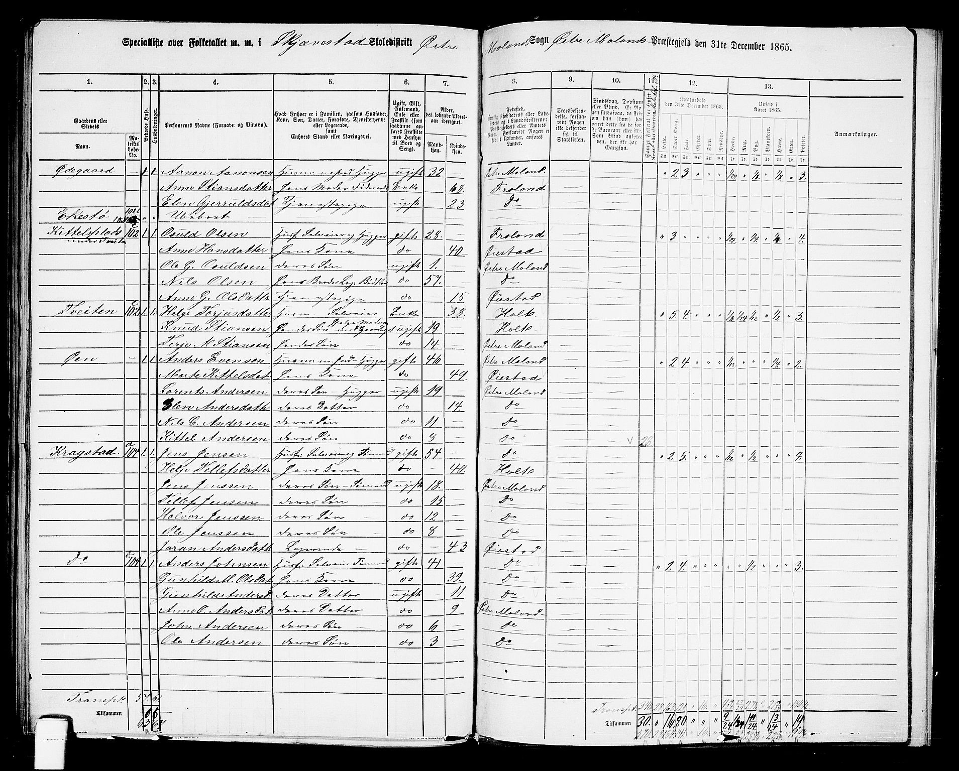 RA, 1865 census for Austre Moland, 1865, p. 319