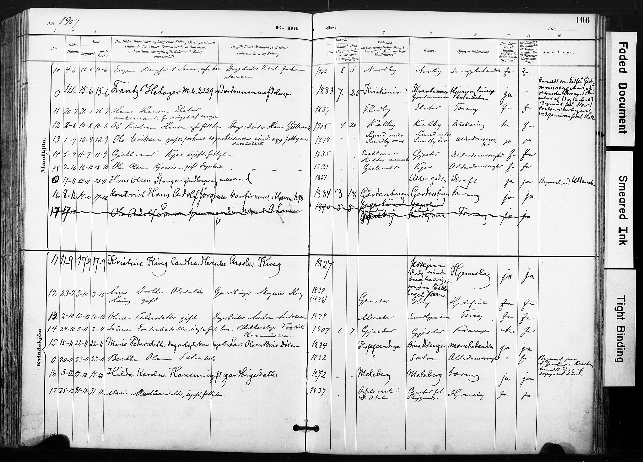 Ullensaker prestekontor Kirkebøker, AV/SAO-A-10236a/F/Fb/L0002: Parish register (official) no. II 2, 1894-1909, p. 196