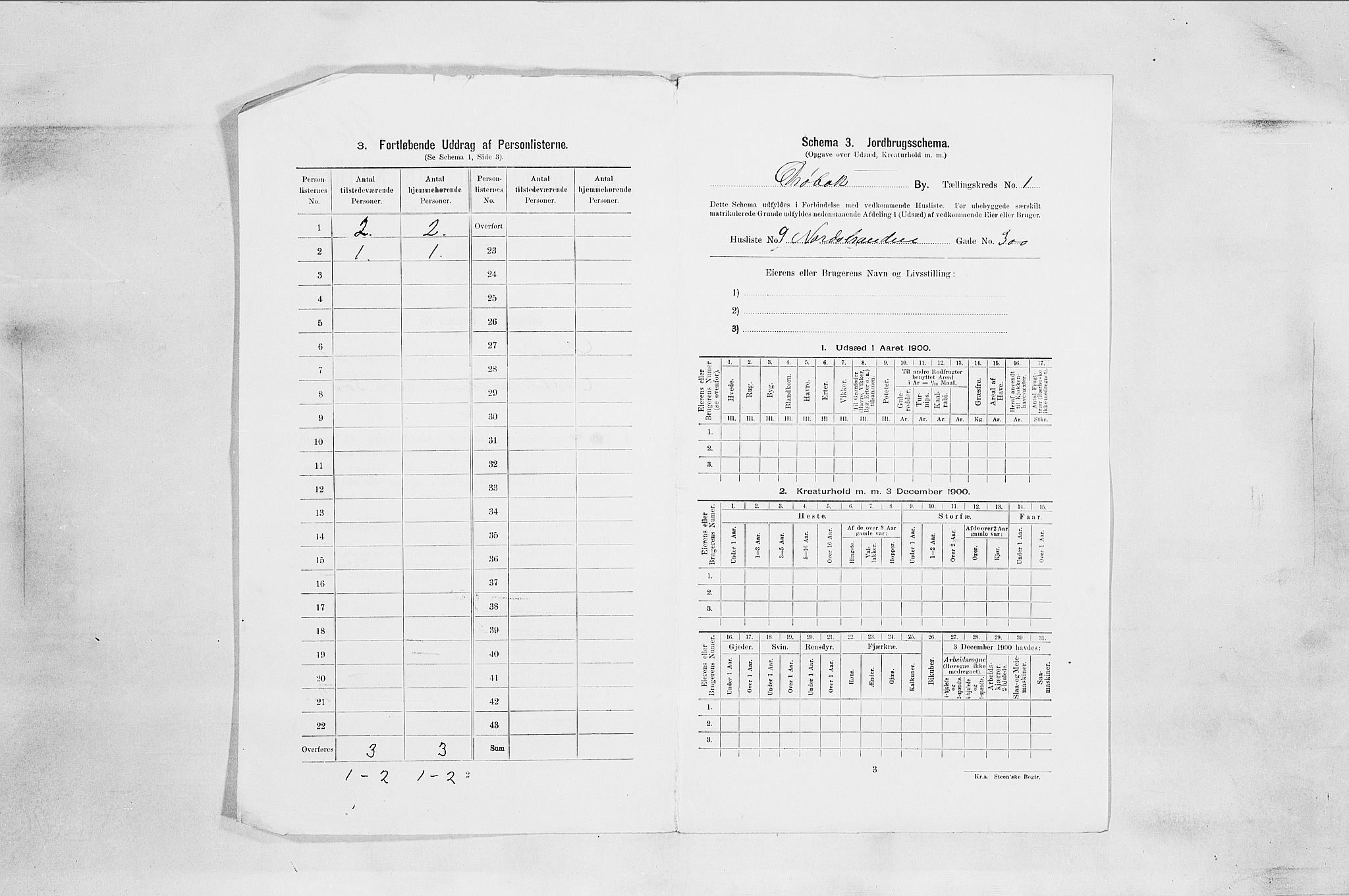 SAO, 1900 census for Drøbak, 1900