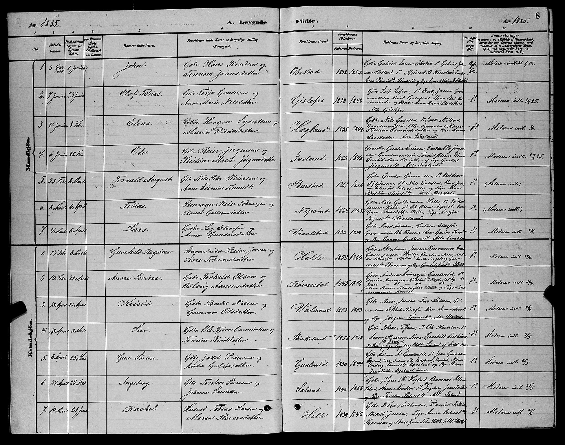 Nord-Audnedal sokneprestkontor, SAK/1111-0032/F/Fb/Fba/L0003: Parish register (copy) no. B 3, 1881-1900, p. 8