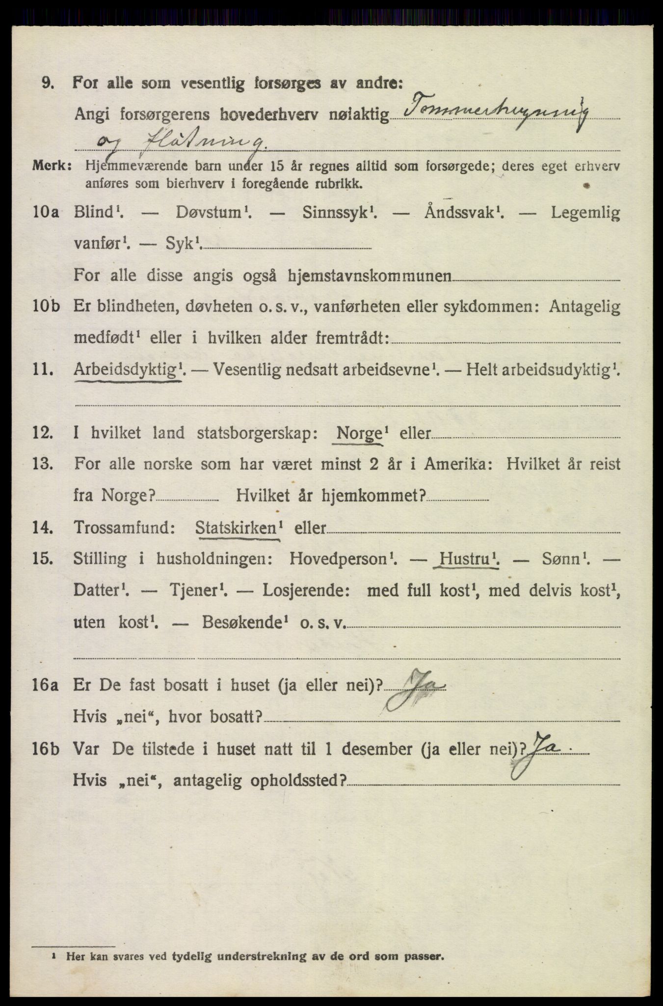 SAH, 1920 census for Trysil, 1920, p. 15506