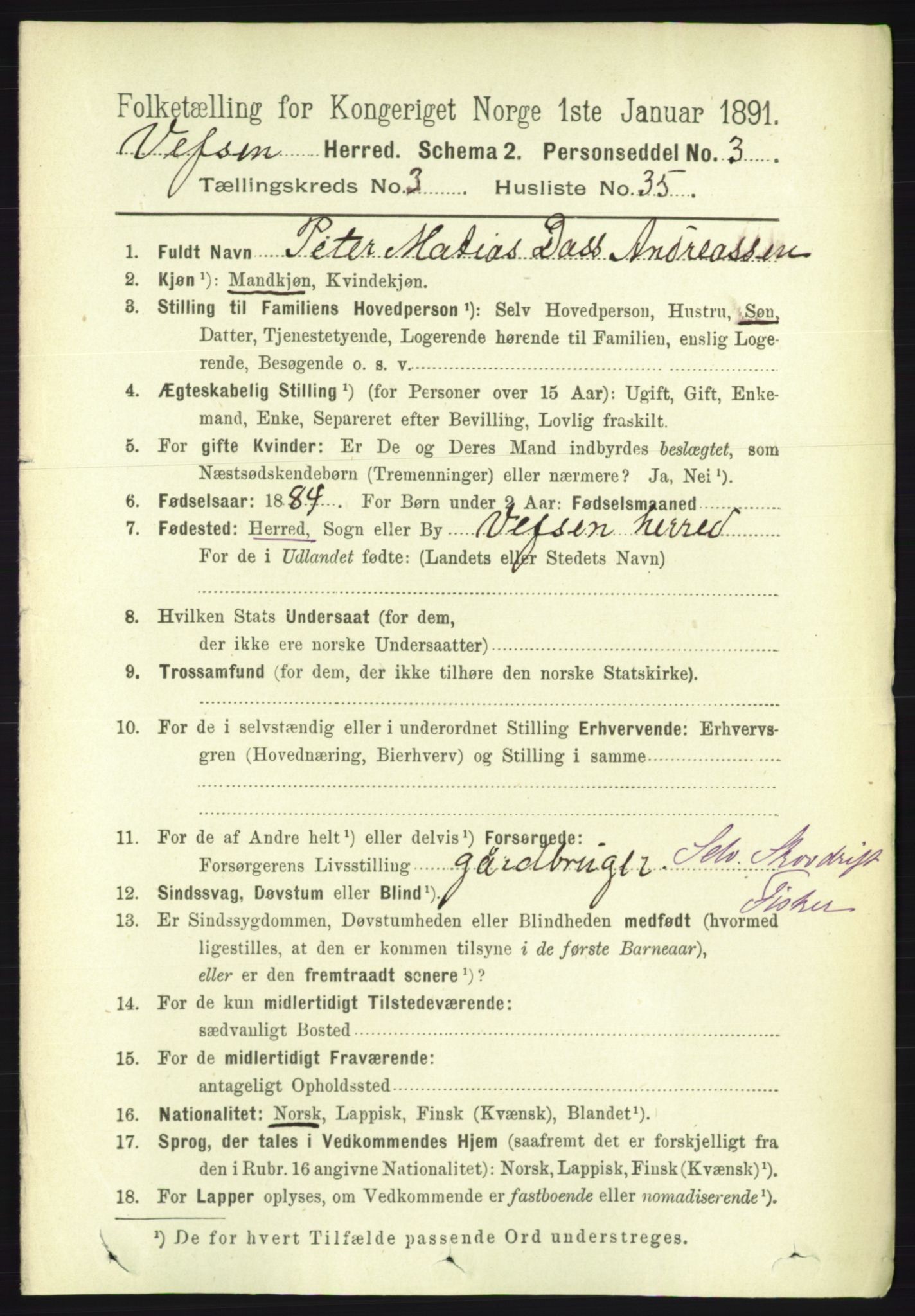 RA, 1891 census for 1824 Vefsn, 1891, p. 1518