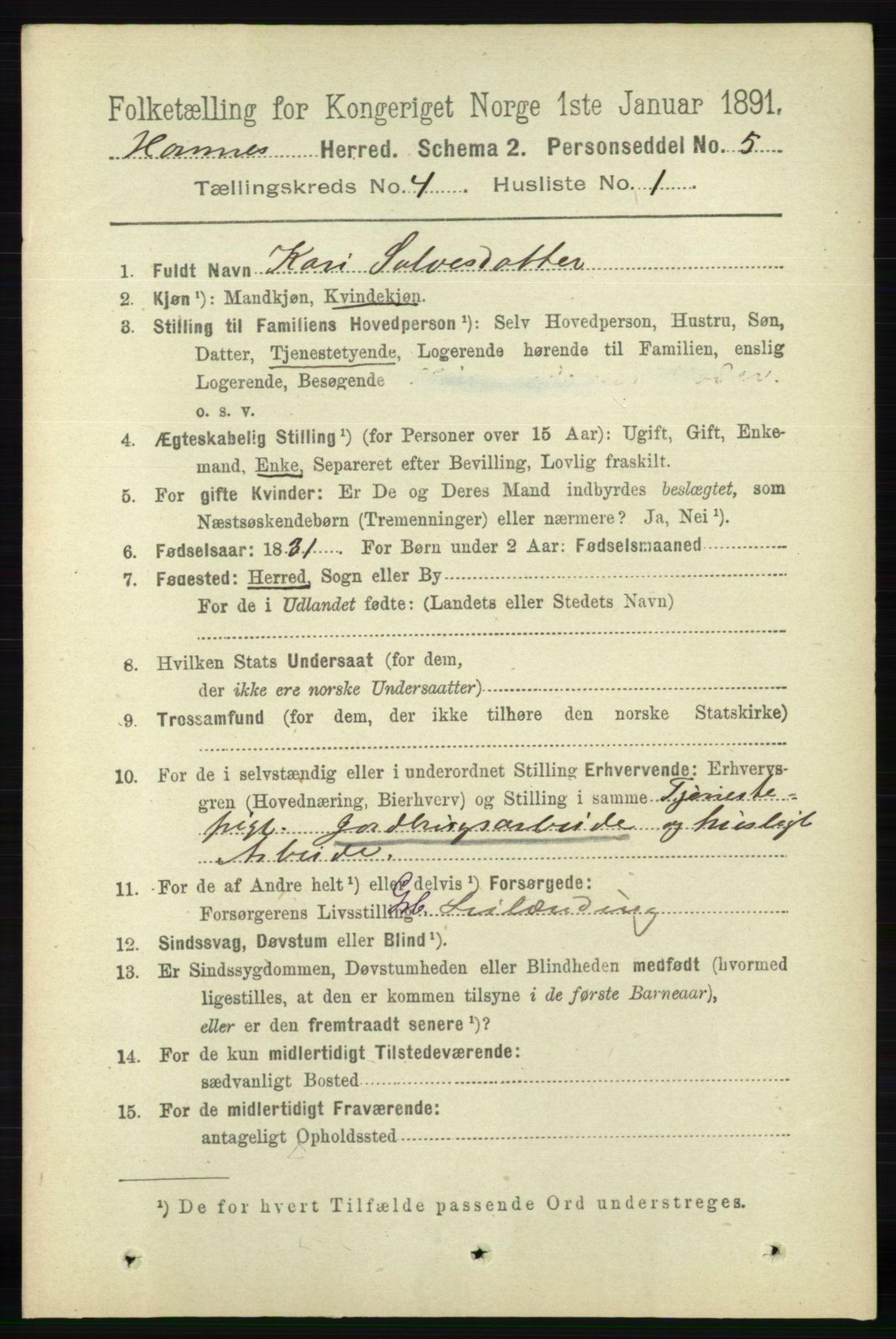 RA, 1891 census for 0936 Hornnes, 1891, p. 1057