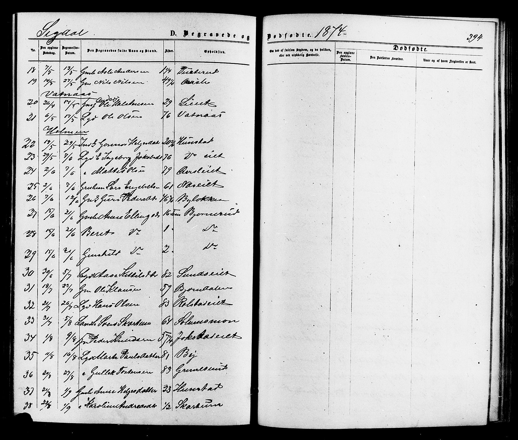 Sigdal kirkebøker, AV/SAKO-A-245/F/Fa/L0010: Parish register (official) no. I 10 /1, 1872-1878, p. 394