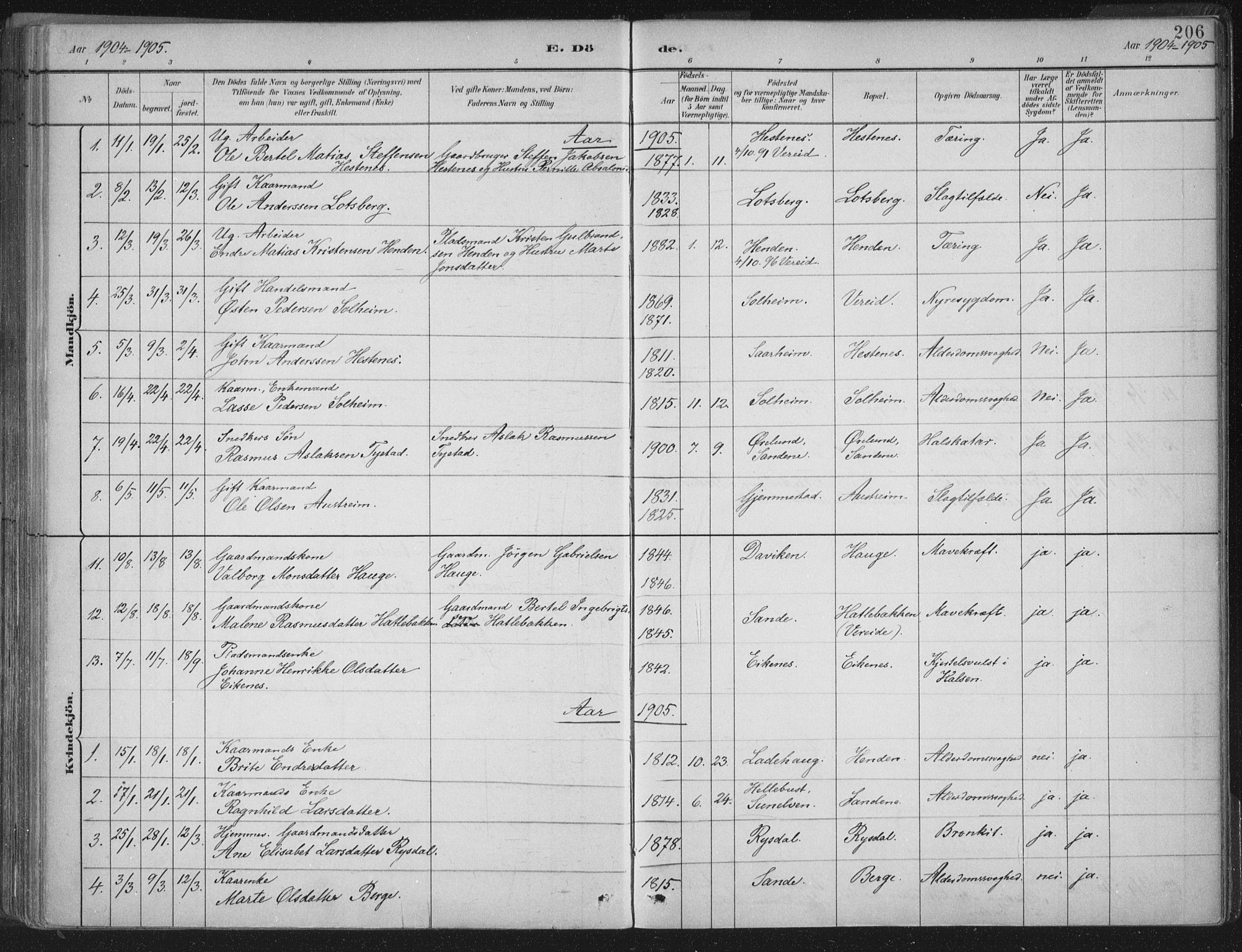 Gloppen sokneprestembete, AV/SAB-A-80101/H/Haa/Haab/L0001: Parish register (official) no. B  1, 1885-1905, p. 206