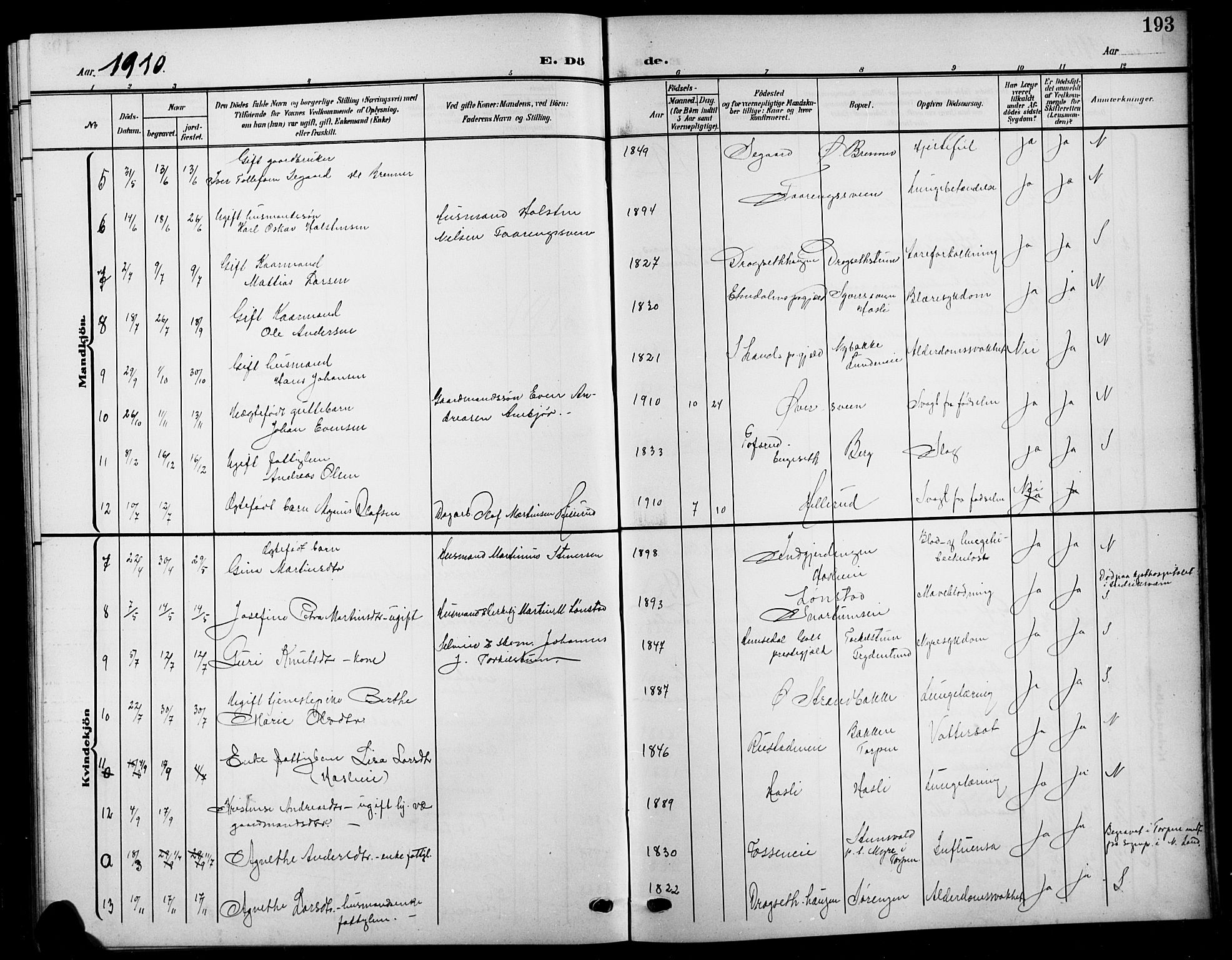 Biri prestekontor, SAH/PREST-096/H/Ha/Hab/L0005: Parish register (copy) no. 5, 1906-1919, p. 193