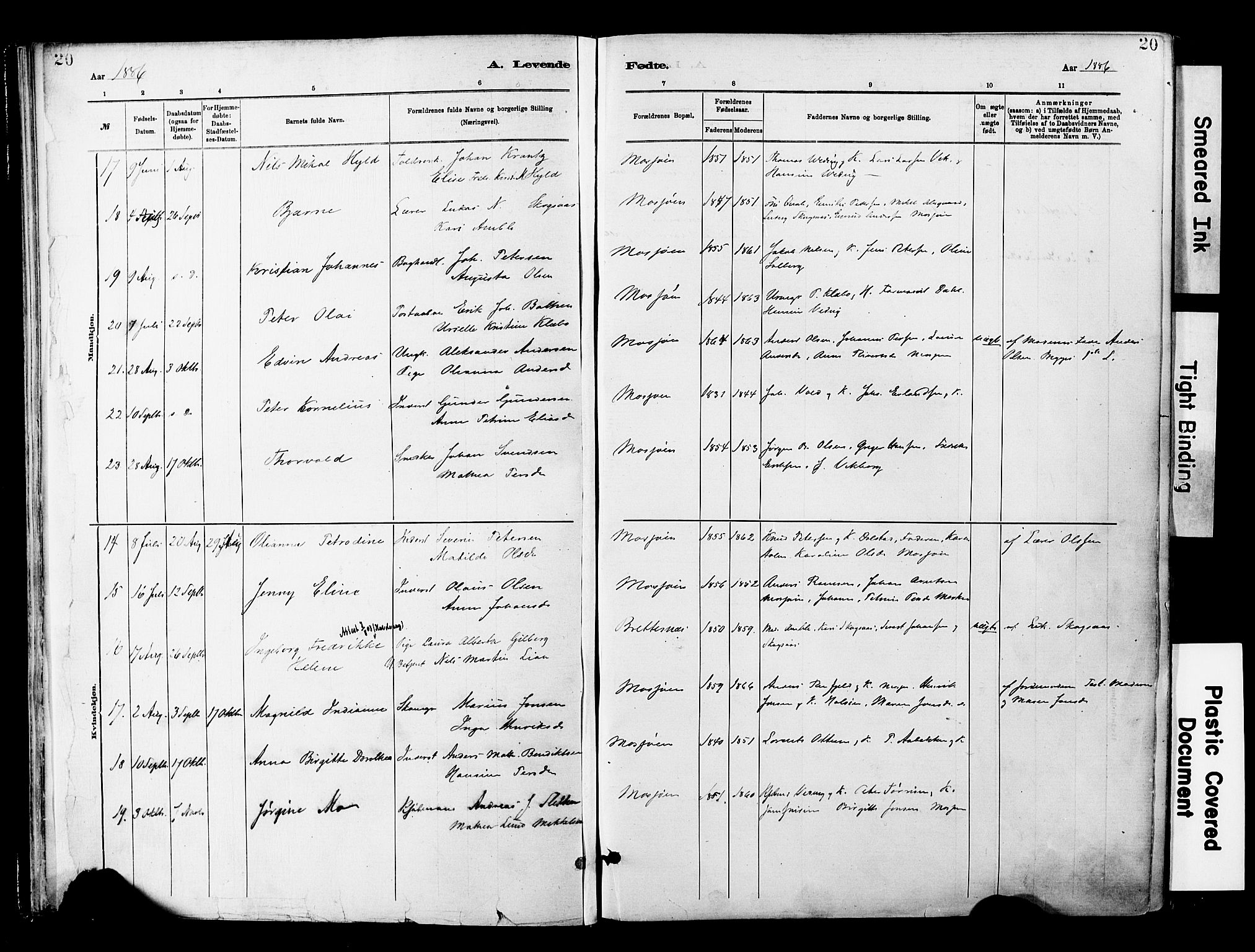 Ministerialprotokoller, klokkerbøker og fødselsregistre - Nordland, SAT/A-1459/820/L0296: Parish register (official) no. 820A17, 1880-1903, p. 20