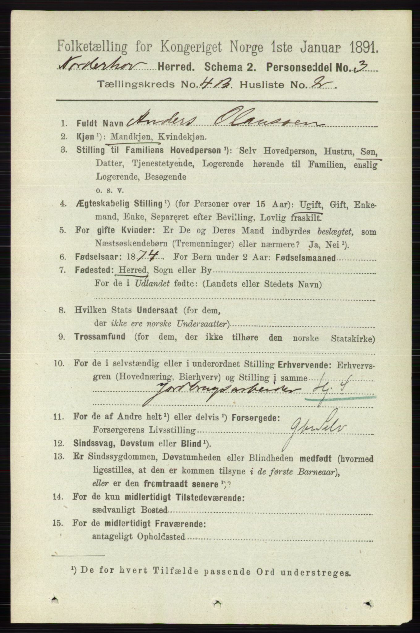 RA, 1891 census for 0613 Norderhov, 1891, p. 2007