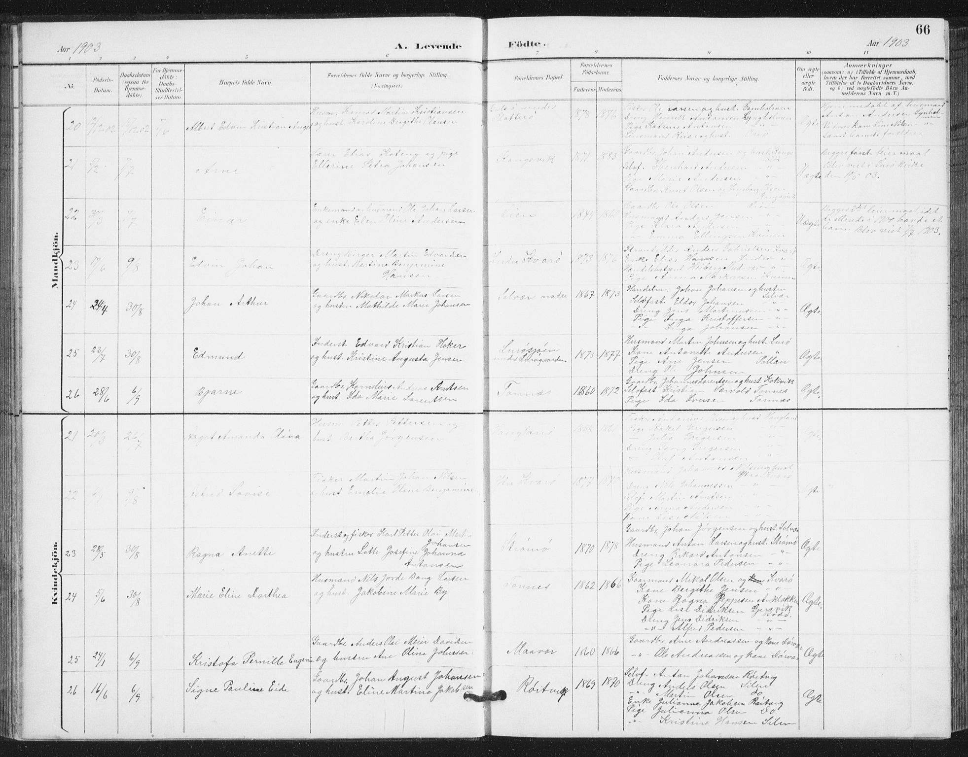 Ministerialprotokoller, klokkerbøker og fødselsregistre - Nordland, AV/SAT-A-1459/839/L0573: Parish register (copy) no. 839C03, 1892-1917, p. 66