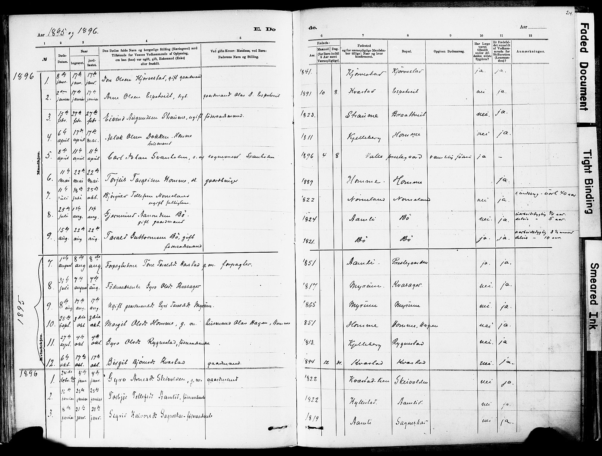 Valle sokneprestkontor, AV/SAK-1111-0044/F/Fa/Fac/L0009: Parish register (official) no. A 9, 1882-1913, p. 214