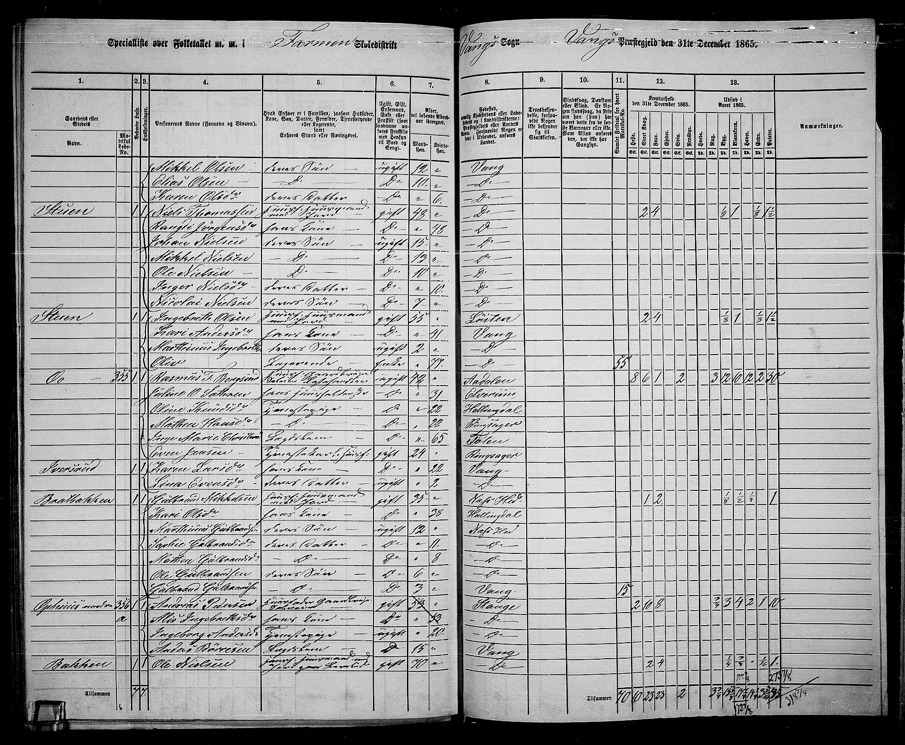 RA, 1865 census for Vang/Vang og Furnes, 1865, p. 316