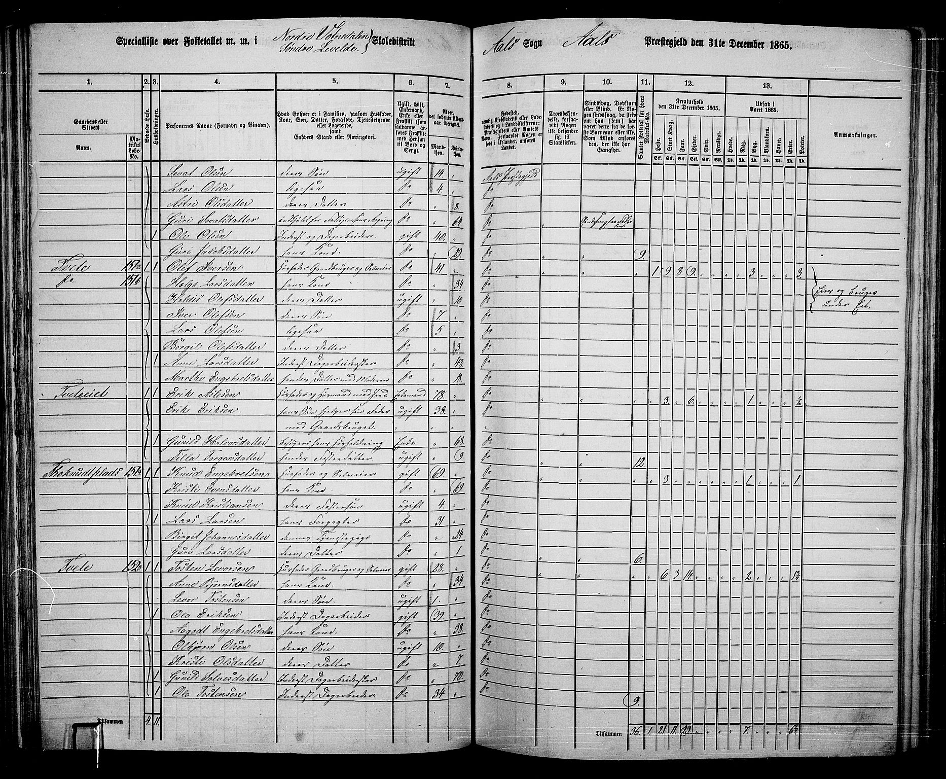 RA, 1865 census for Ål, 1865, p. 98