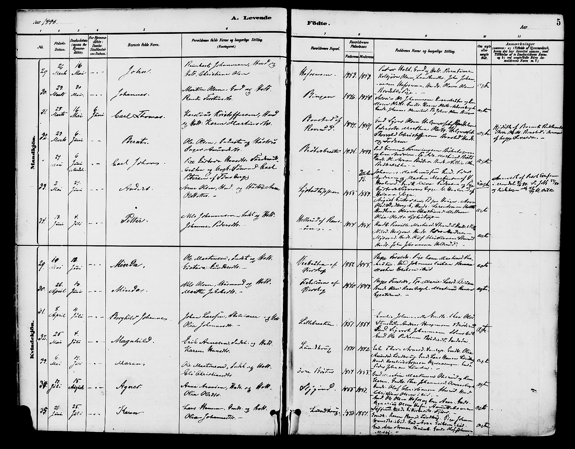 Brandval prestekontor, AV/SAH-PREST-034/H/Ha/Haa/L0002: Parish register (official) no. 2, 1880-1894, p. 5