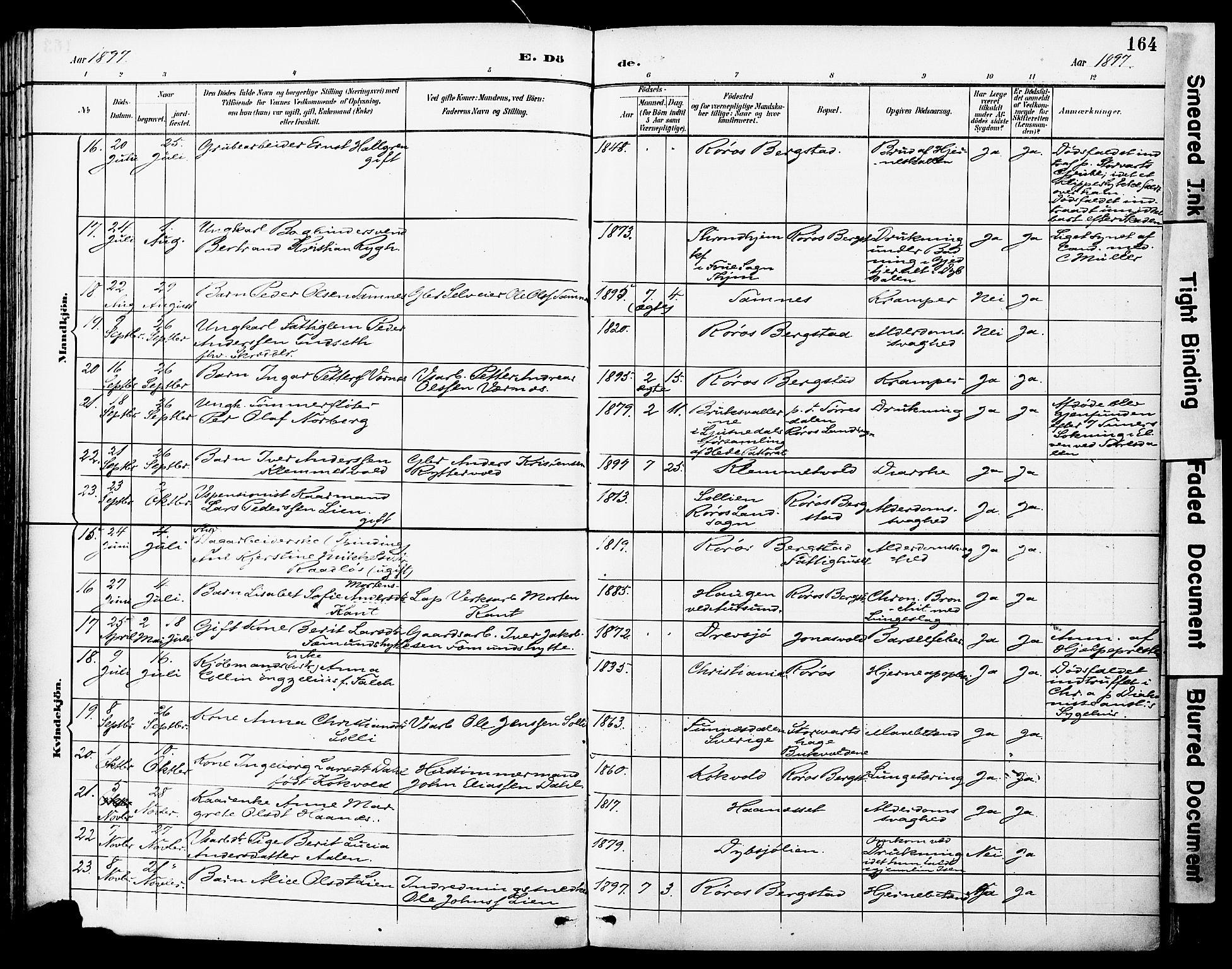 Ministerialprotokoller, klokkerbøker og fødselsregistre - Sør-Trøndelag, AV/SAT-A-1456/681/L0935: Parish register (official) no. 681A13, 1890-1898, p. 164