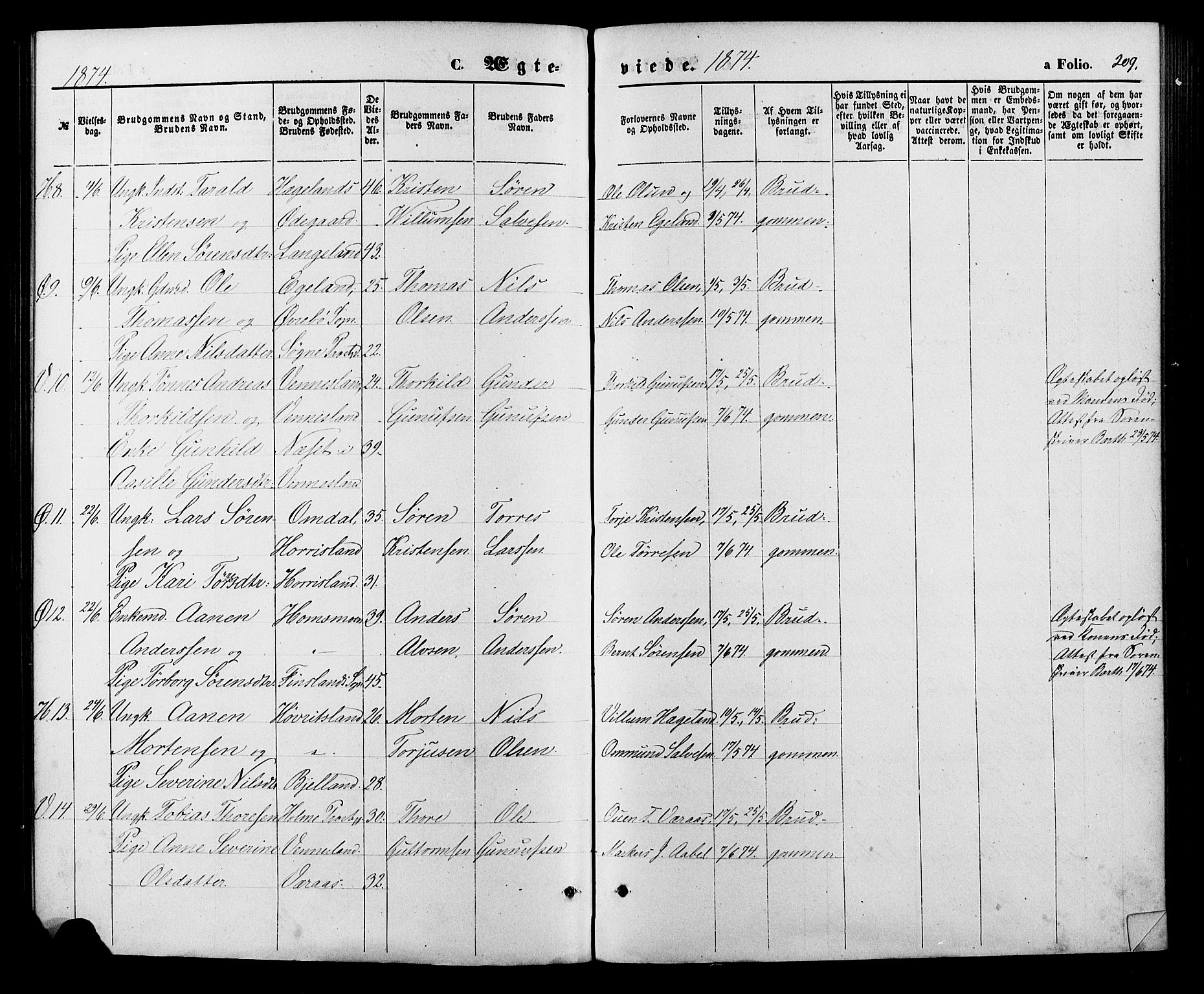 Vennesla sokneprestkontor, AV/SAK-1111-0045/Fa/Fac/L0008: Parish register (official) no. A 8, 1874-1883, p. 209