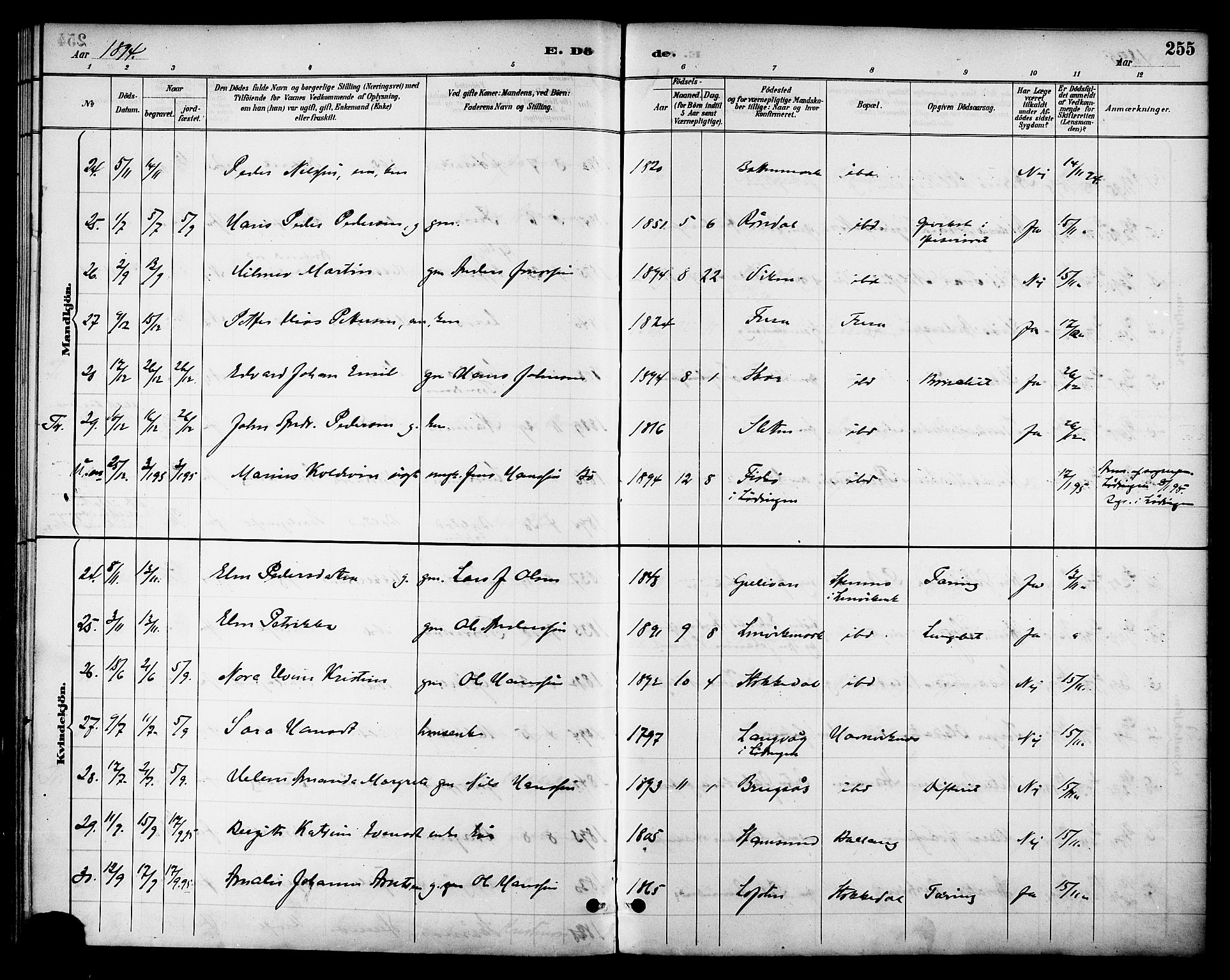 Ministerialprotokoller, klokkerbøker og fødselsregistre - Nordland, AV/SAT-A-1459/863/L0898: Parish register (official) no. 863A10, 1886-1897, p. 255