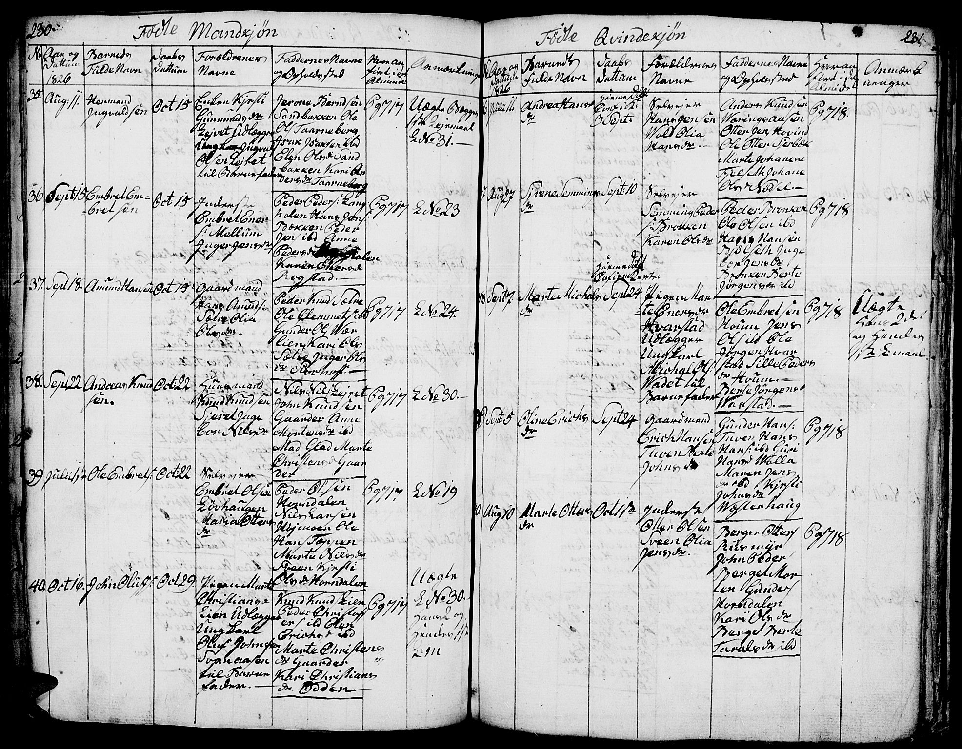 Elverum prestekontor, AV/SAH-PREST-044/H/Ha/Hab/L0001: Parish register (copy) no. 1, 1815-1829, p. 230-231