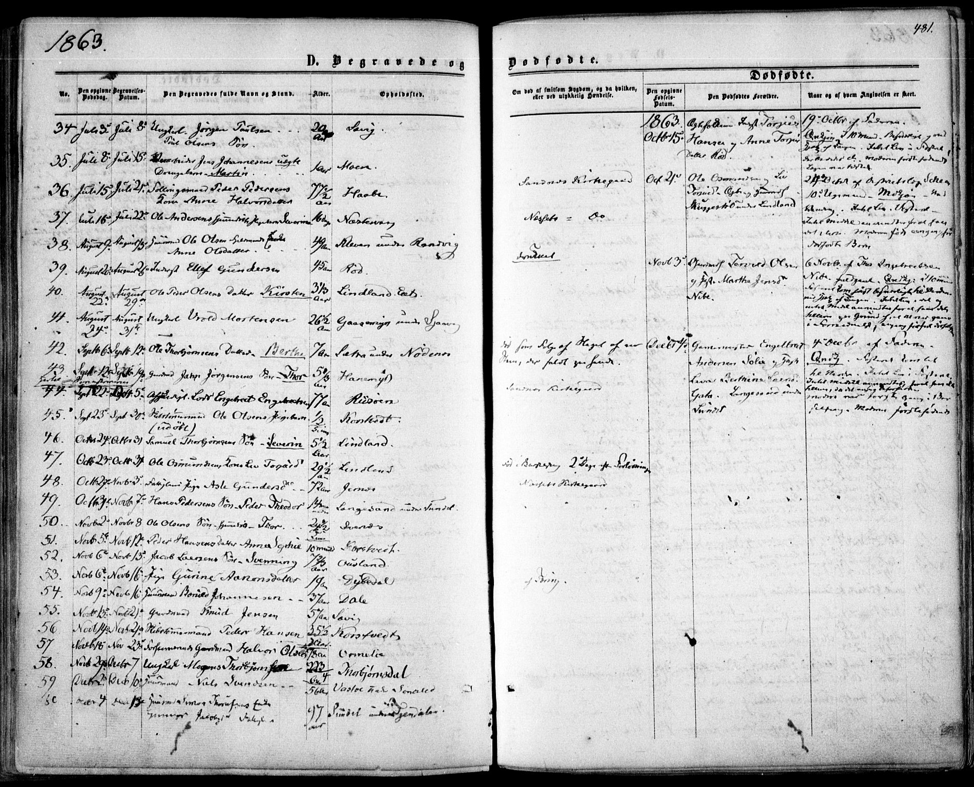 Søndeled sokneprestkontor, SAK/1111-0038/F/Fa/L0003: Parish register (official) no. A 3, 1861-1879, p. 481