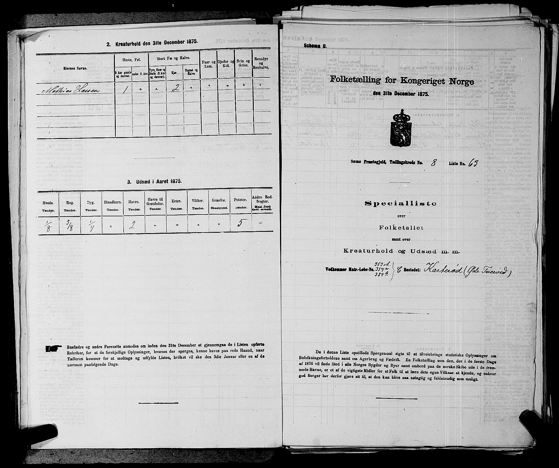 SAKO, 1875 census for 0721P Sem, 1875, p. 1366