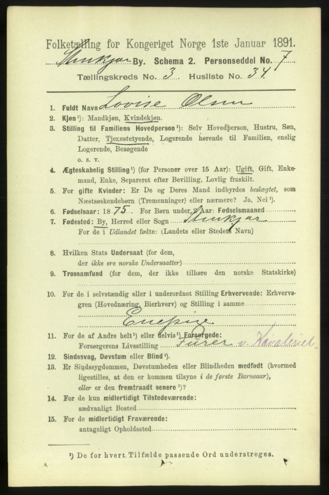 RA, 1891 census for 1702 Steinkjer, 1891, p. 1145