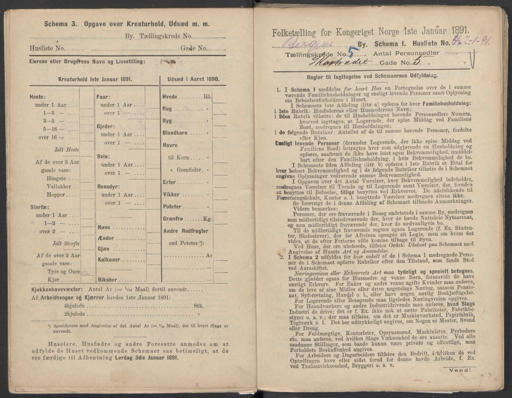 RA, 1891 Census for 1301 Bergen, 1891, p. 864