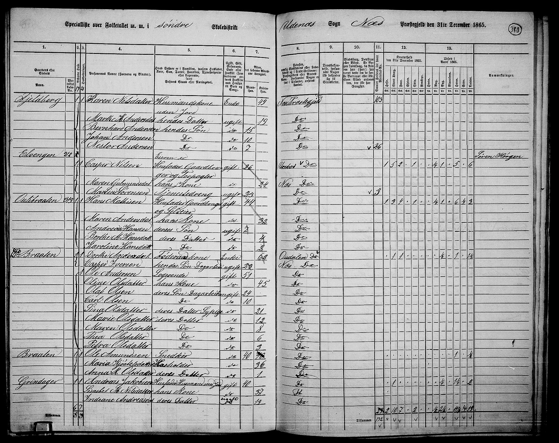 RA, 1865 census for Nes, 1865, p. 346