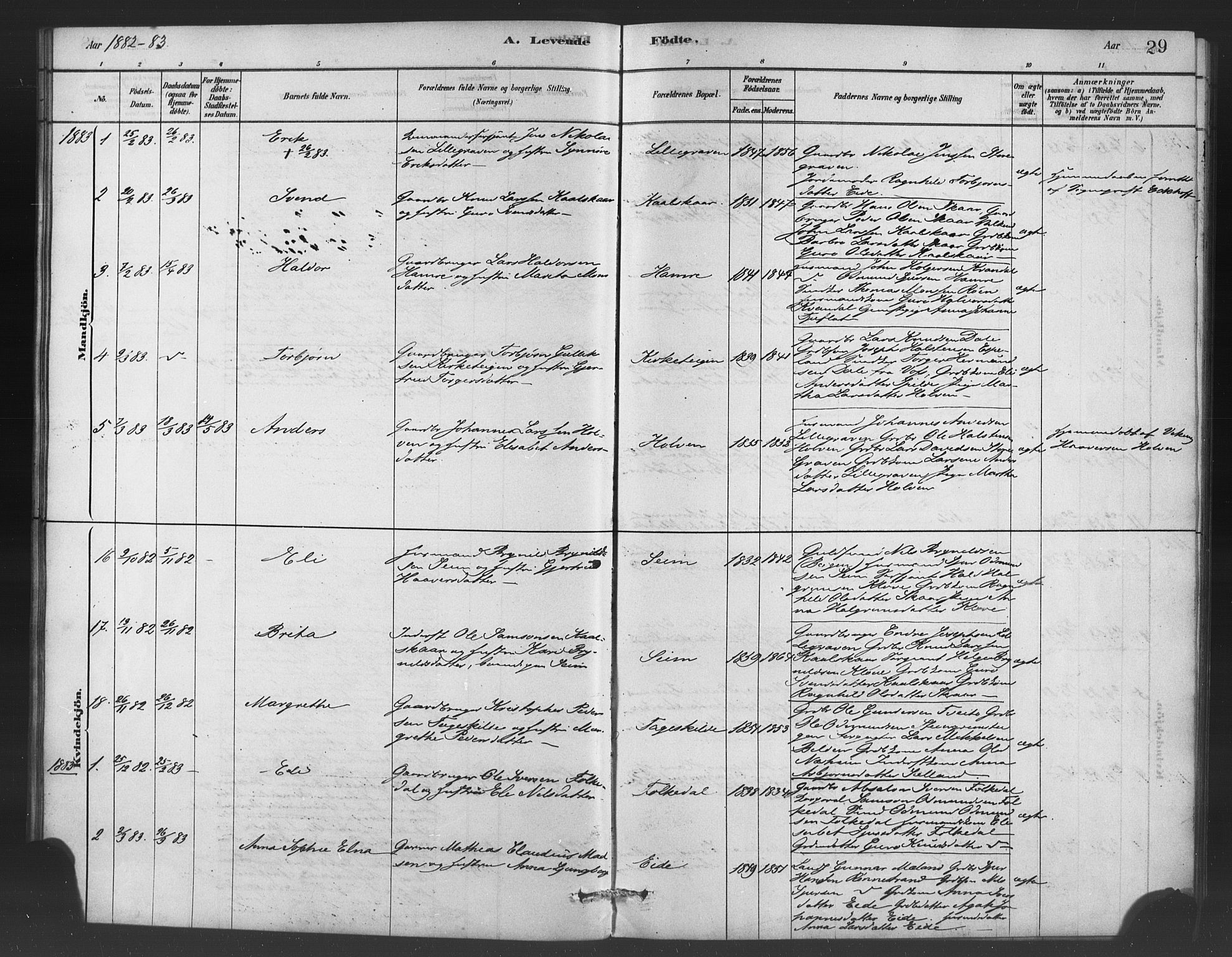 Ulvik sokneprestembete, SAB/A-78801/H/Haa: Parish register (official) no. C 1, 1878-1903, p. 29