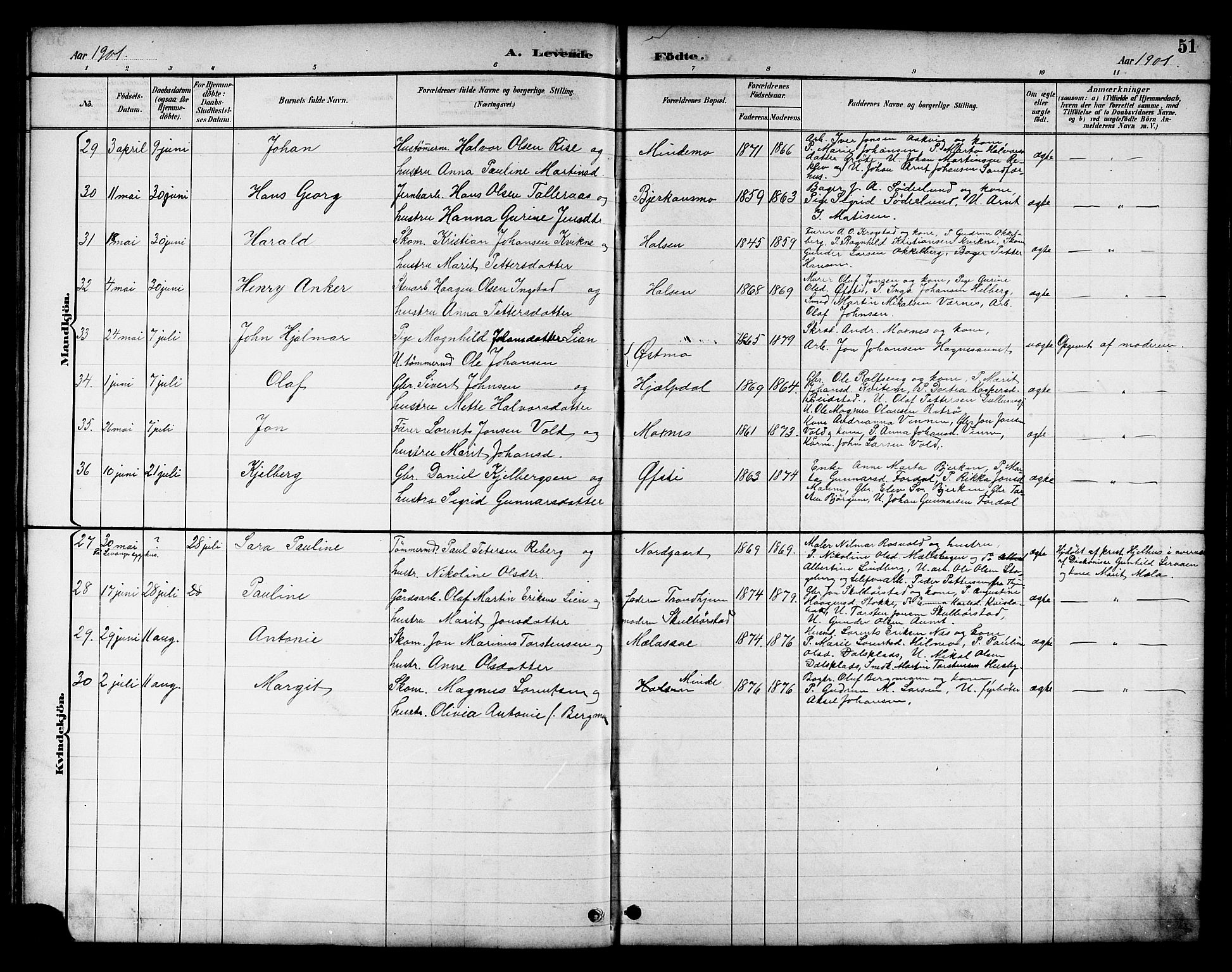 Ministerialprotokoller, klokkerbøker og fødselsregistre - Nord-Trøndelag, AV/SAT-A-1458/709/L0087: Parish register (copy) no. 709C01, 1892-1913, p. 51