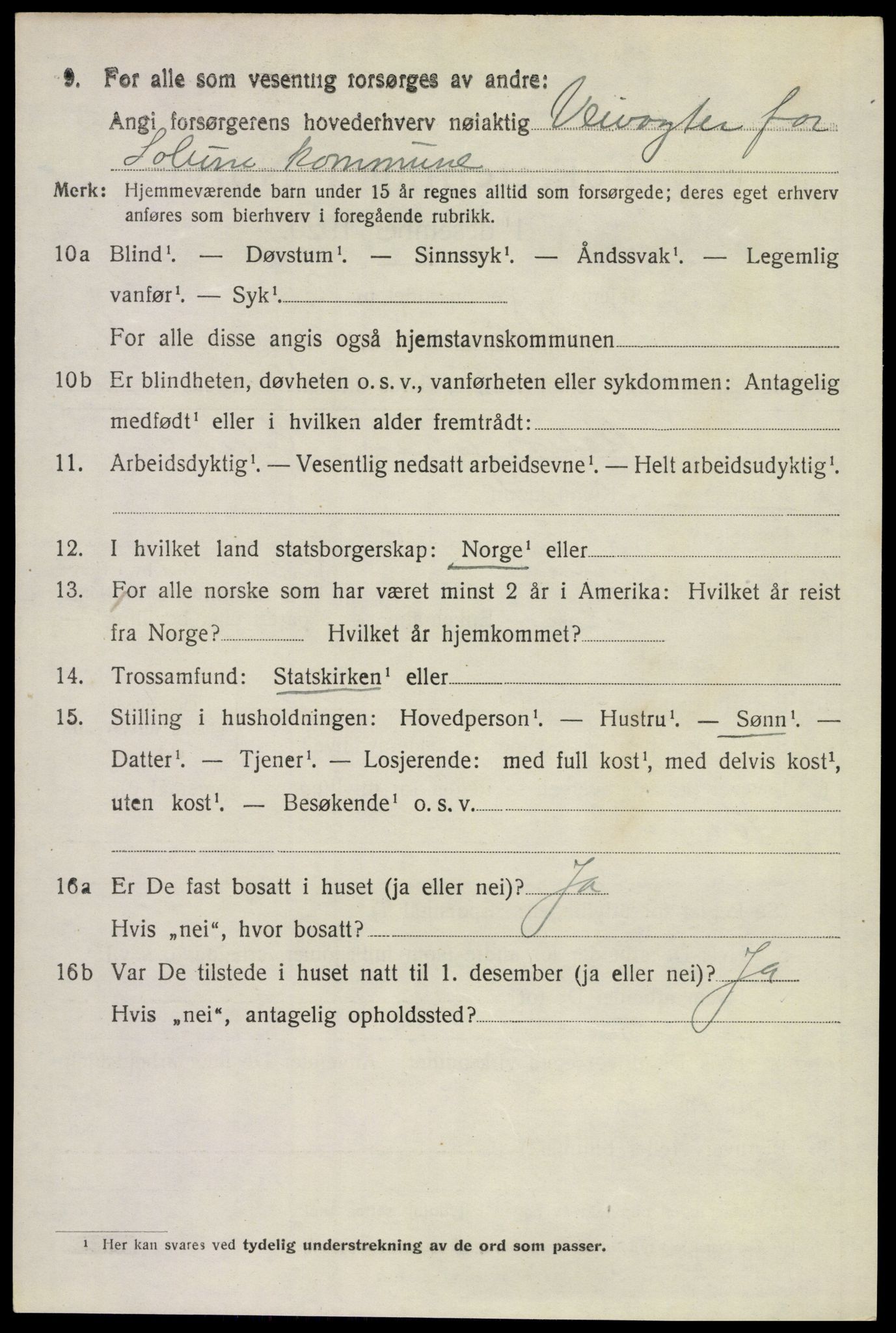 SAKO, 1920 census for Solum, 1920, p. 16419