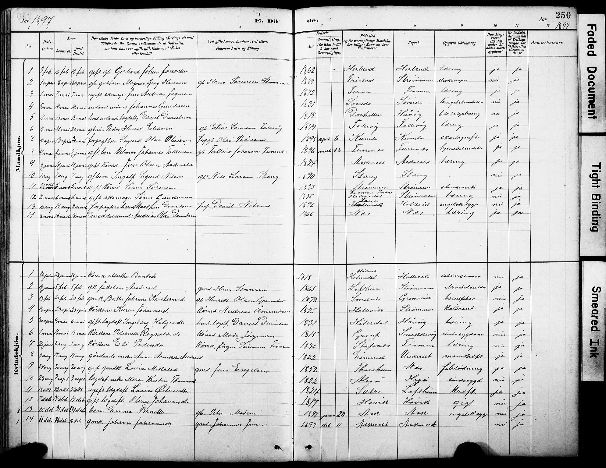 Askvoll sokneprestembete, AV/SAB-A-79501/H/Hab/Haba/L0003: Parish register (copy) no. A 3, 1886-1928, p. 250