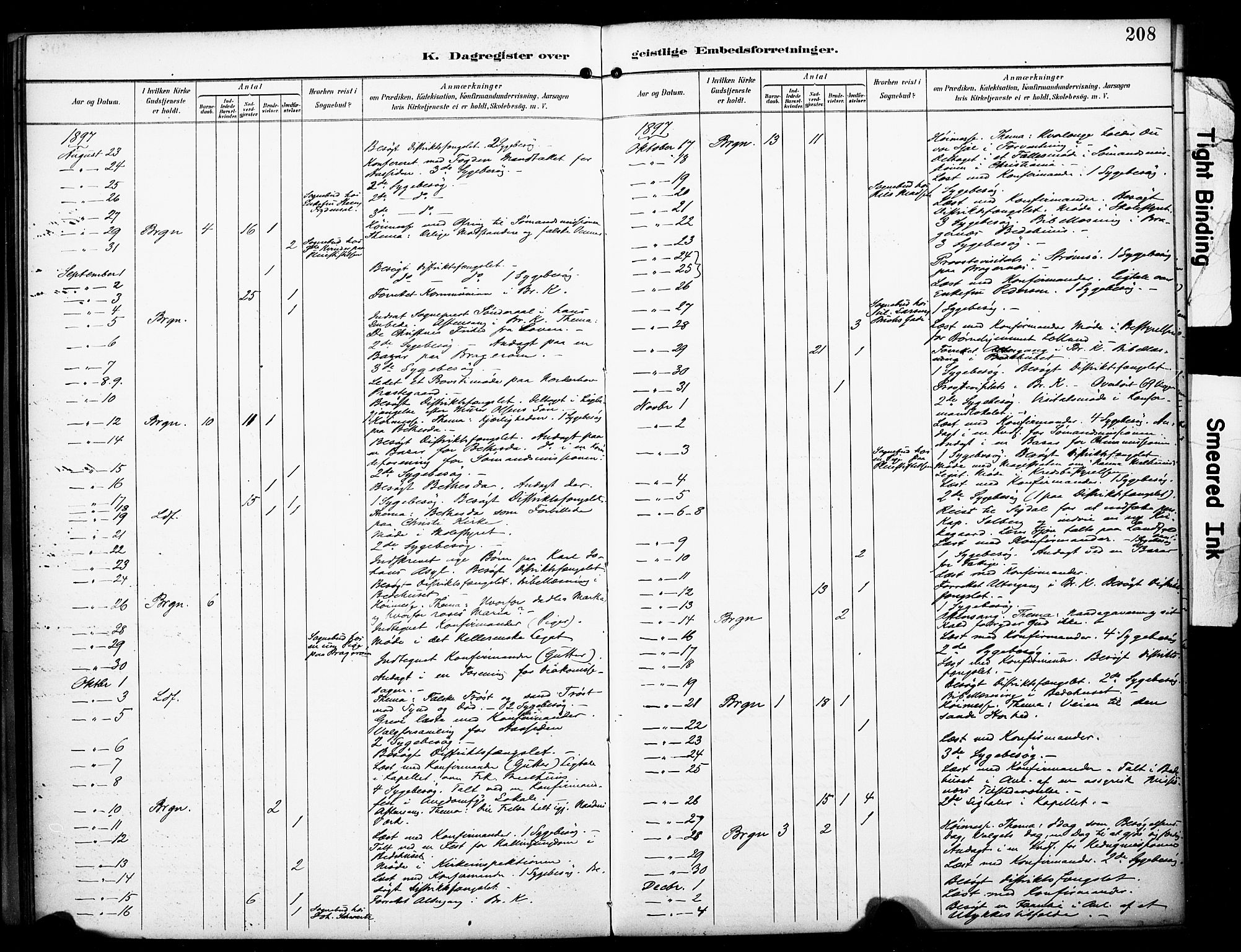 Bragernes kirkebøker, AV/SAKO-A-6/F/Fc/L0006: Parish register (official) no. III 6, 1888-1899, p. 208