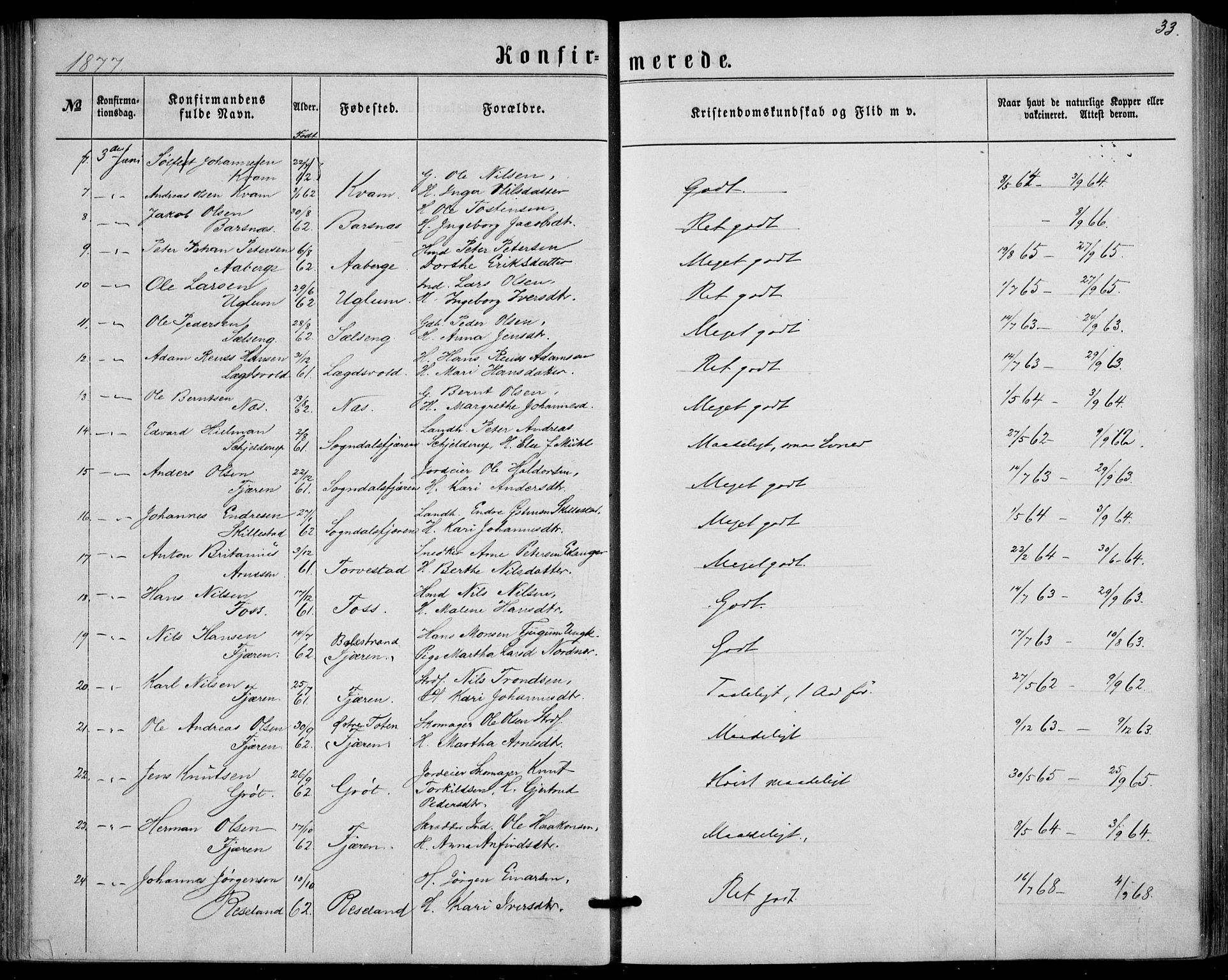 Sogndal sokneprestembete, AV/SAB-A-81301/H/Haa/Haaa/L0015: Parish register (official) no. A 15, 1871-1904, p. 33