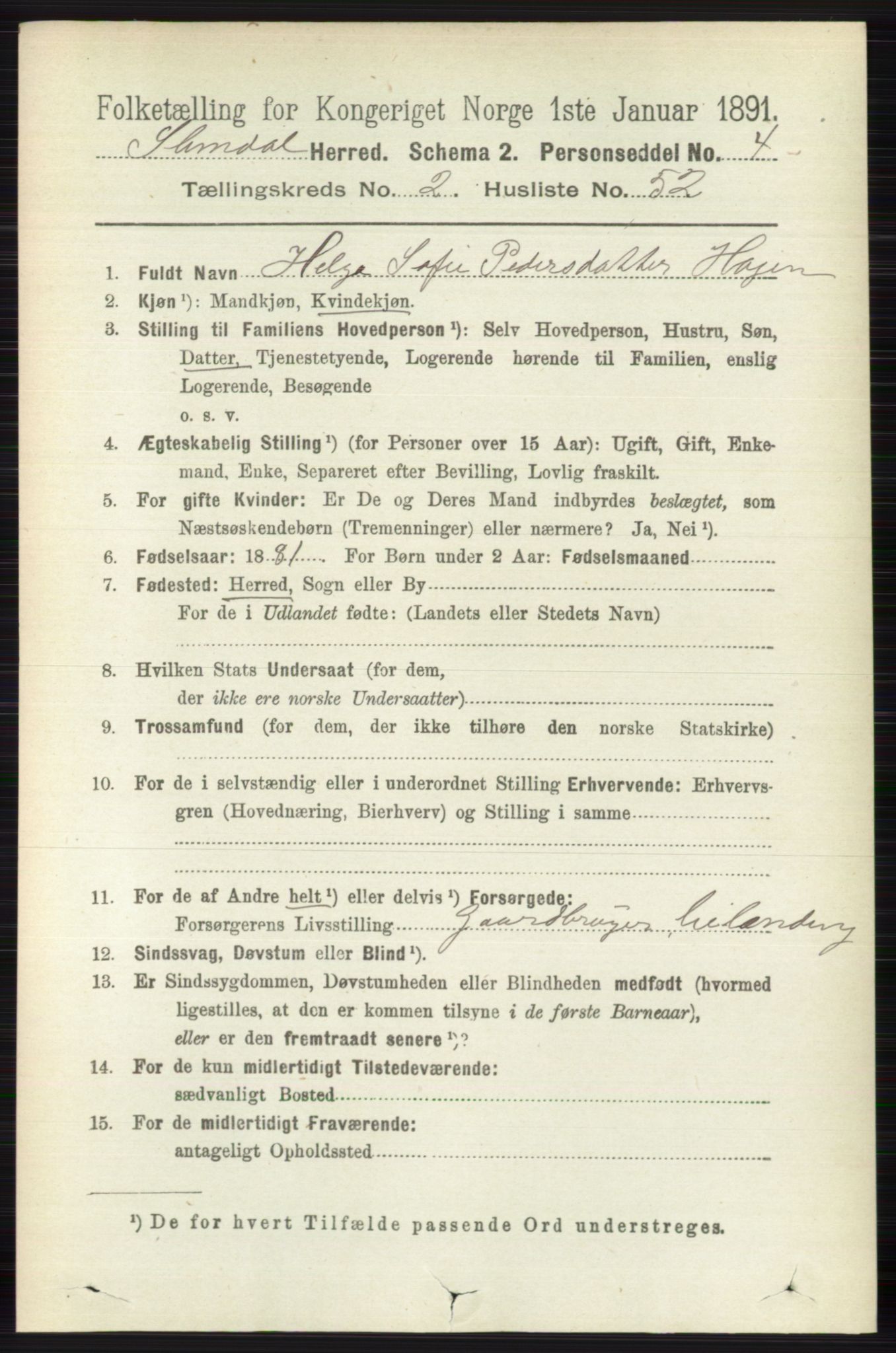 RA, 1891 census for 0811 Slemdal, 1891, p. 691