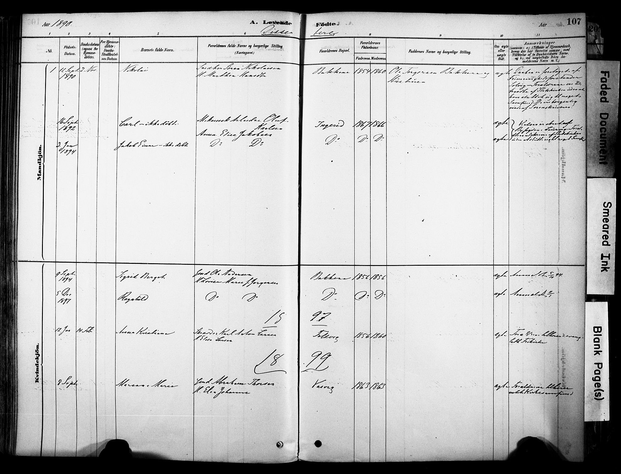 Brunlanes kirkebøker, SAKO/A-342/F/Fc/L0001: Parish register (official) no. III 1, 1878-1899, p. 107